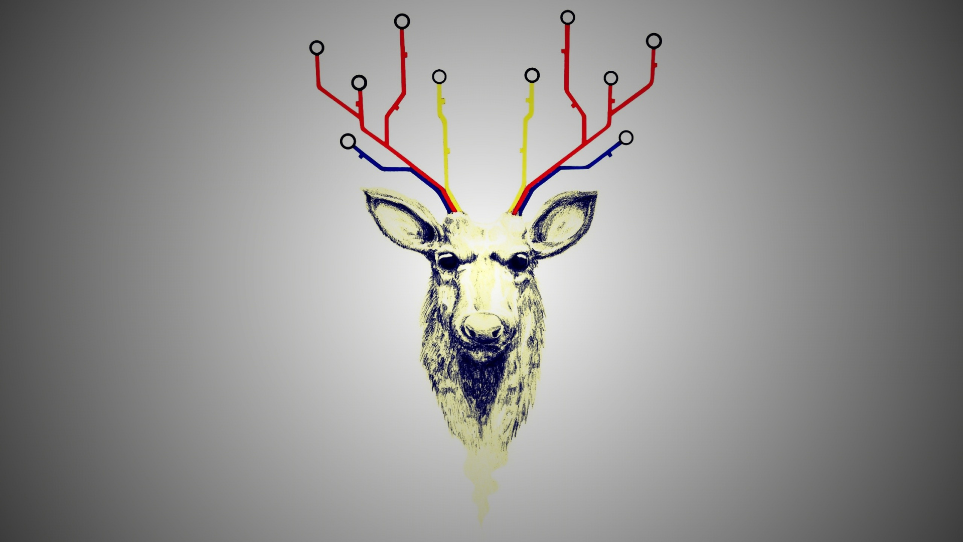 Обои олений рог, Северный олень, олень, графический дизайн, графика в разрешении 1920x1080