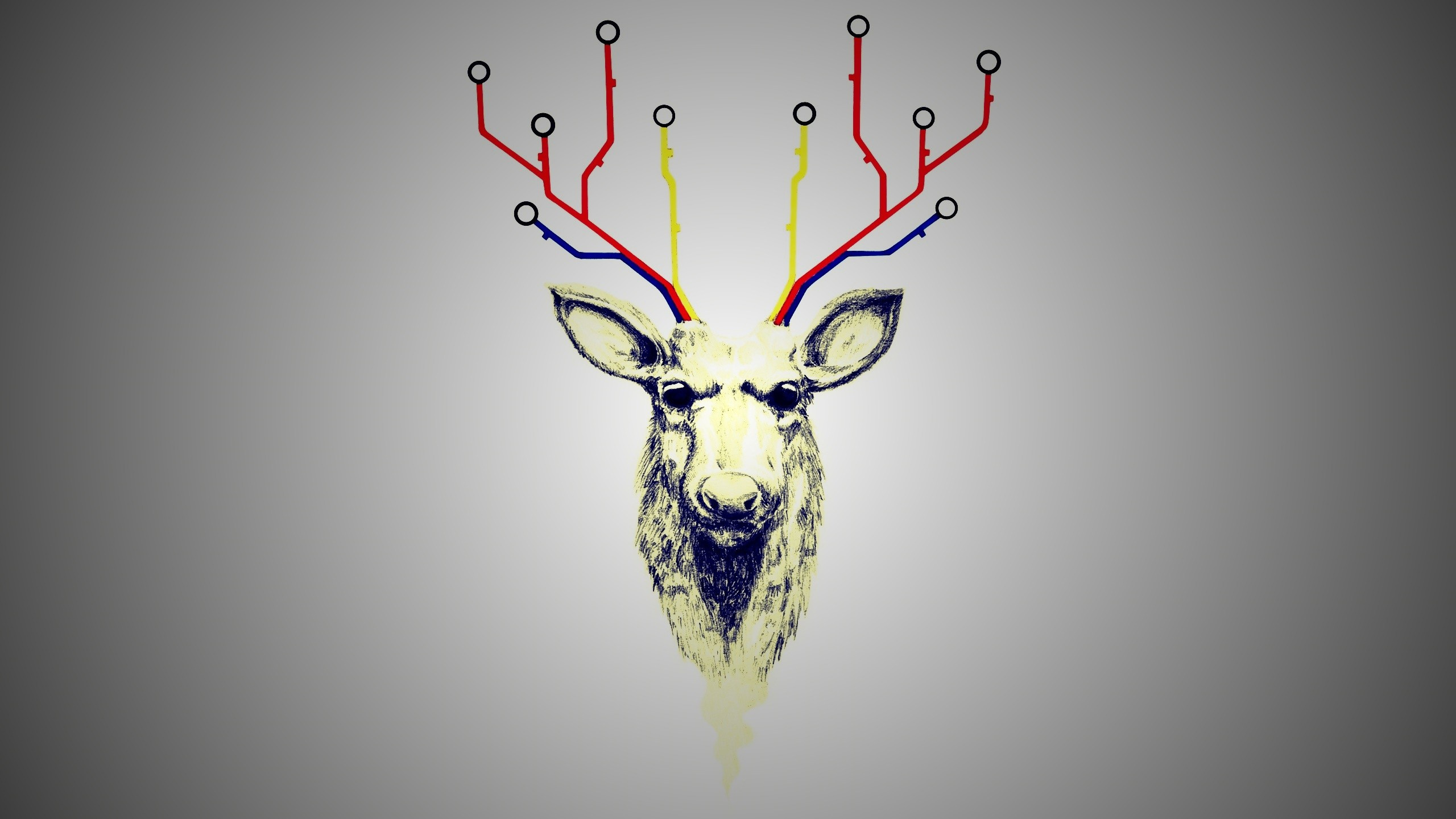 Обои олений рог, Северный олень, олень, графический дизайн, графика в разрешении 2560x1440
