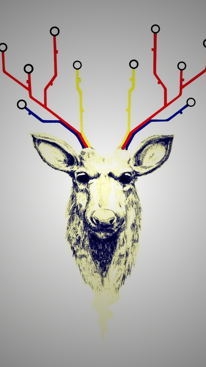 Обои олений рог, Северный олень, олень, графический дизайн, графика в разрешении 720x1280