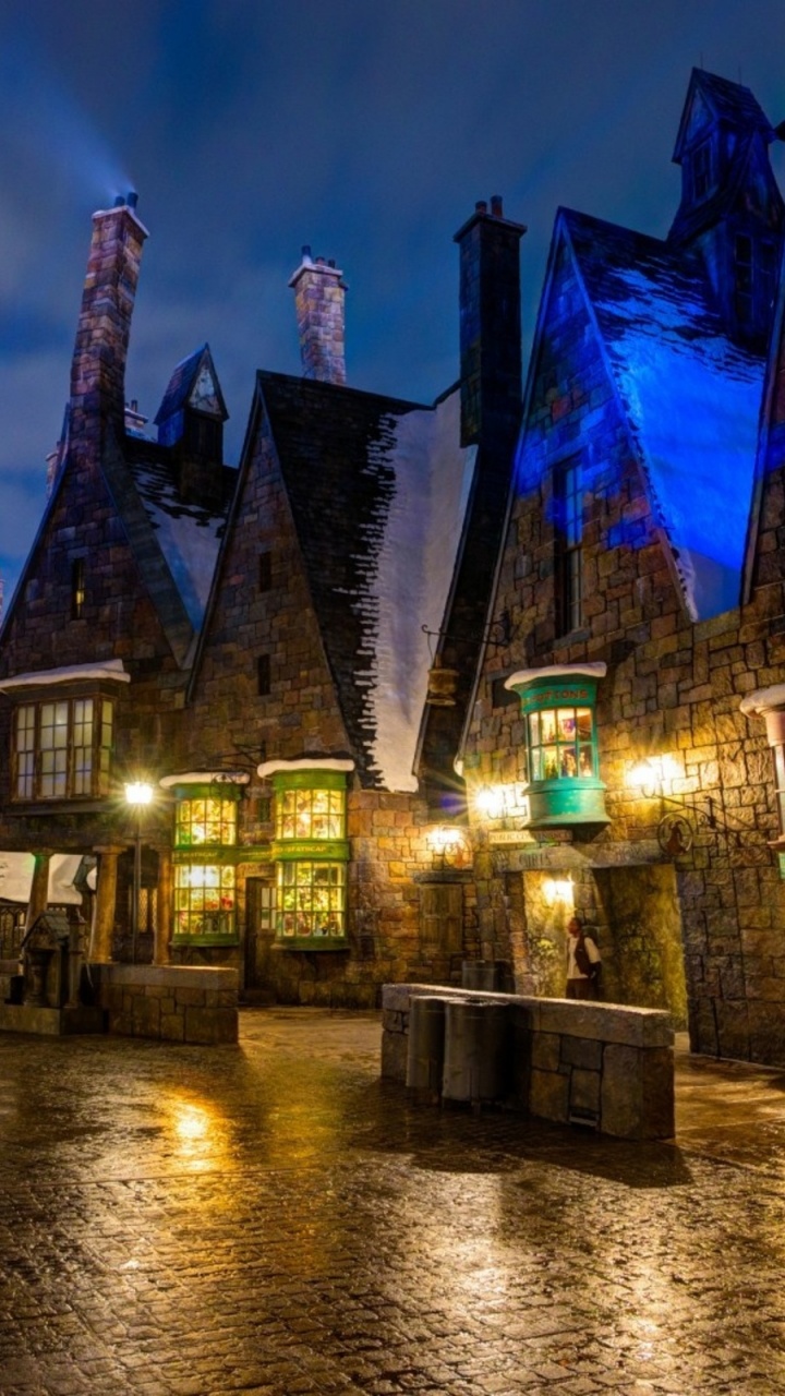 Обои Волшебный мир Гарри Поттера, Гарри Поттер, ночь, городок, ориентир в разрешении 720x1280