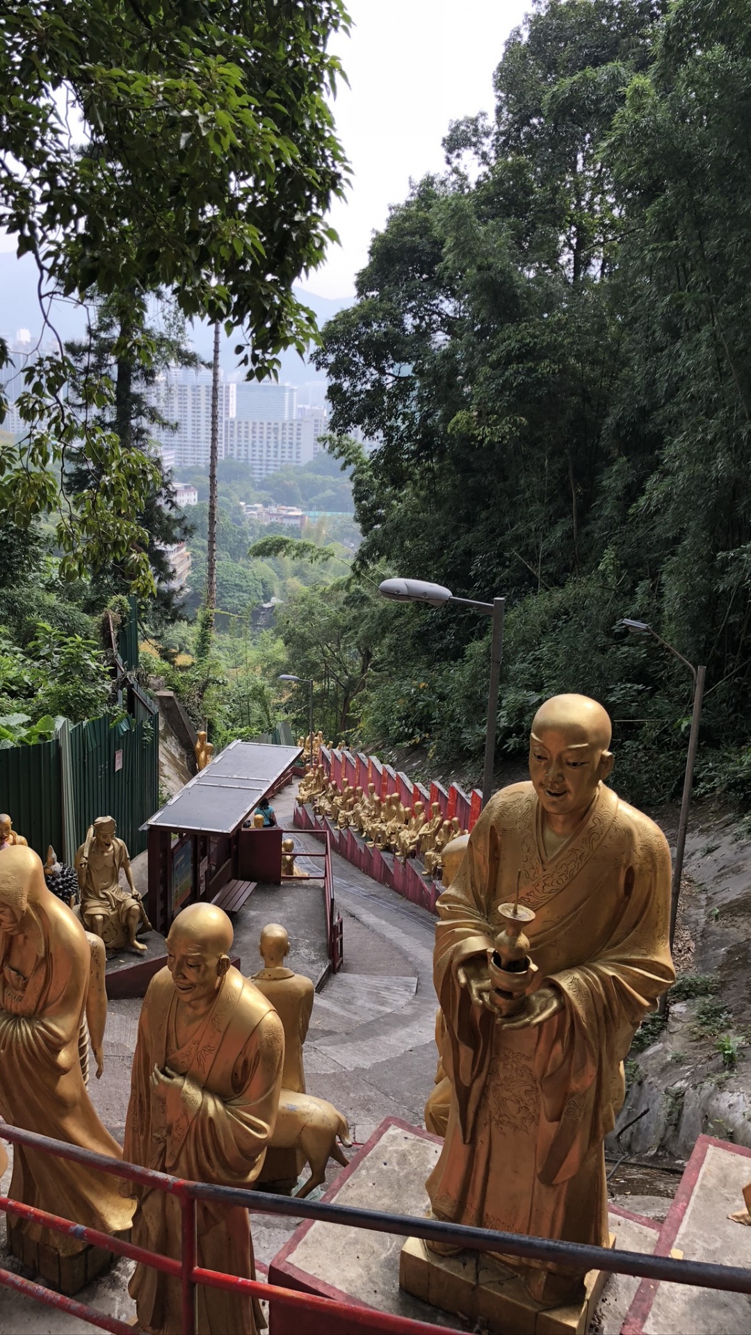 Обои дерево, туризм, наука, биология, место поклонения в разрешении 1080x1920