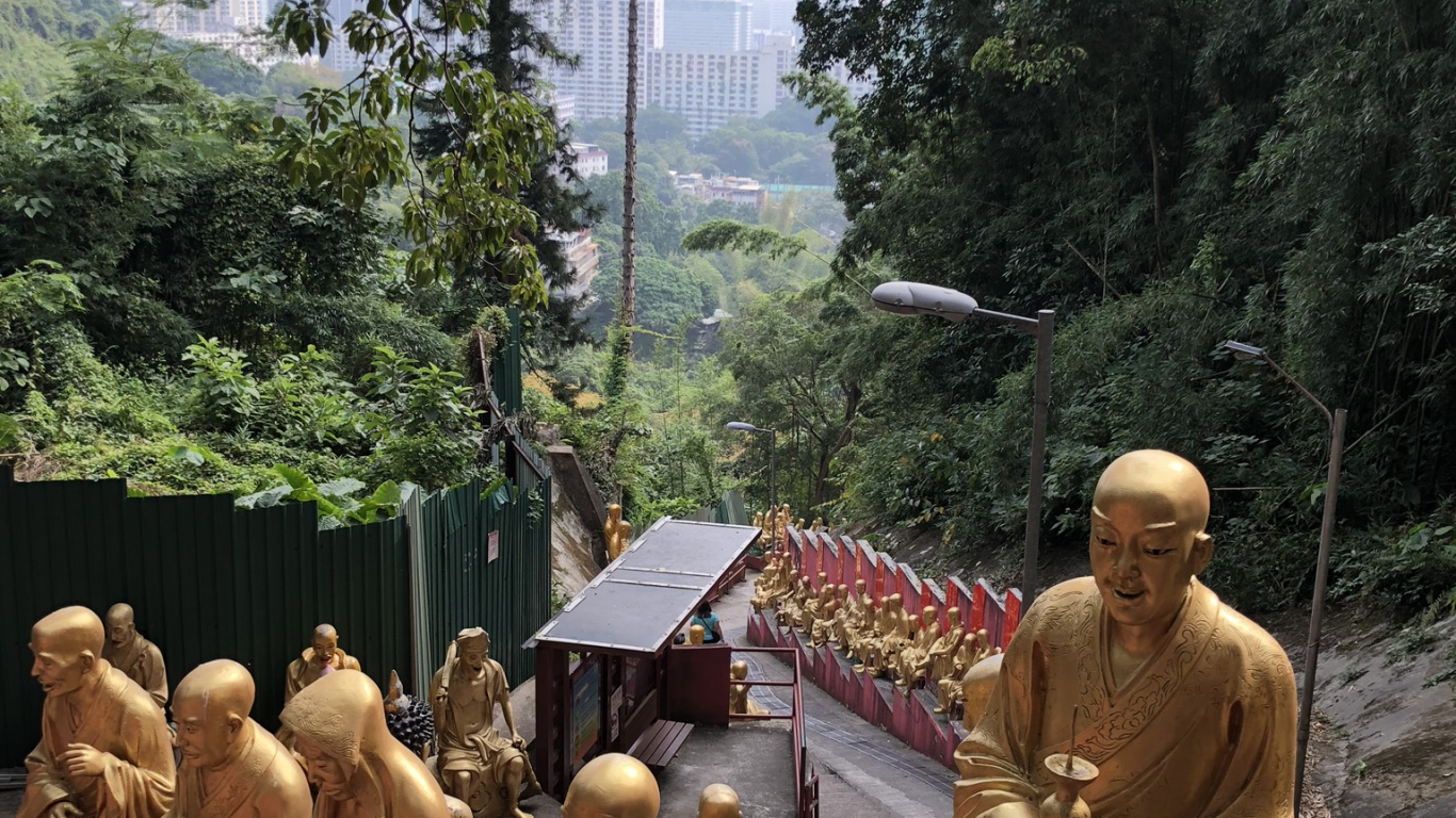 Обои дерево, туризм, наука, биология, место поклонения в разрешении 1366x768