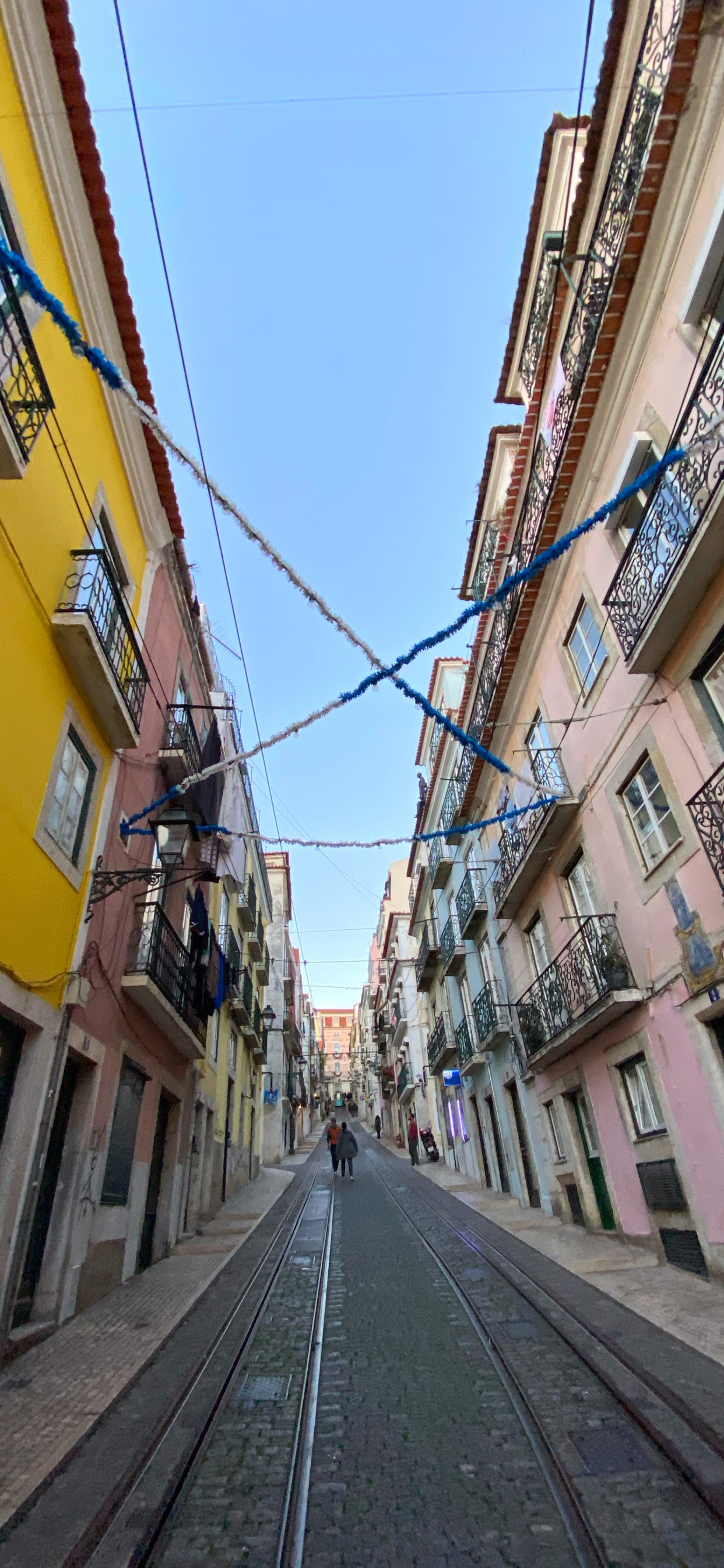 Обои аллея, дорога, городок, соседство, инфраструктура в разрешении 1242x2688