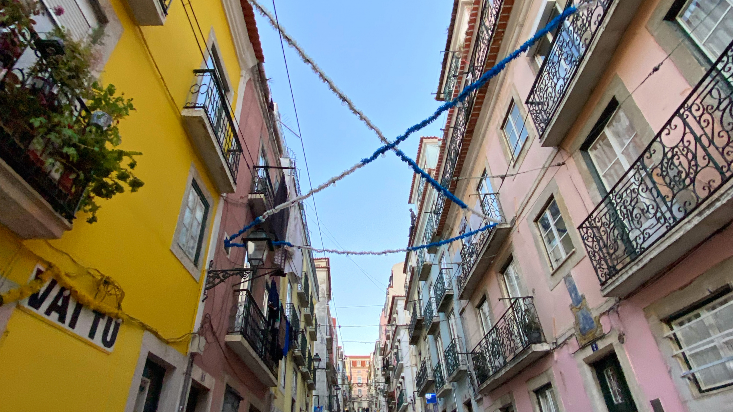 Обои аллея, дорога, городок, соседство, инфраструктура в разрешении 2560x1440