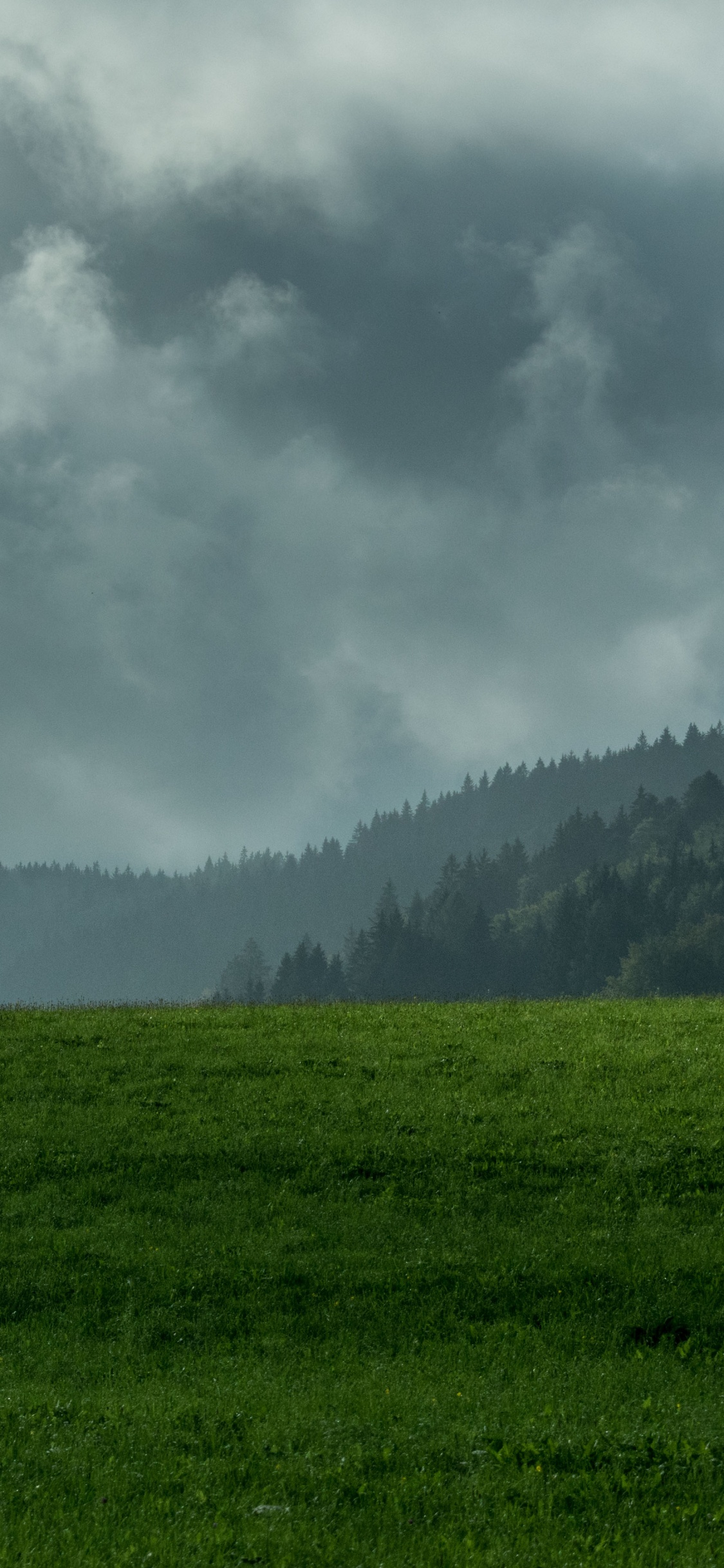 Обои растительность, дымка, горный рельеф, природный ландшафт, биом в разрешении 1125x2436