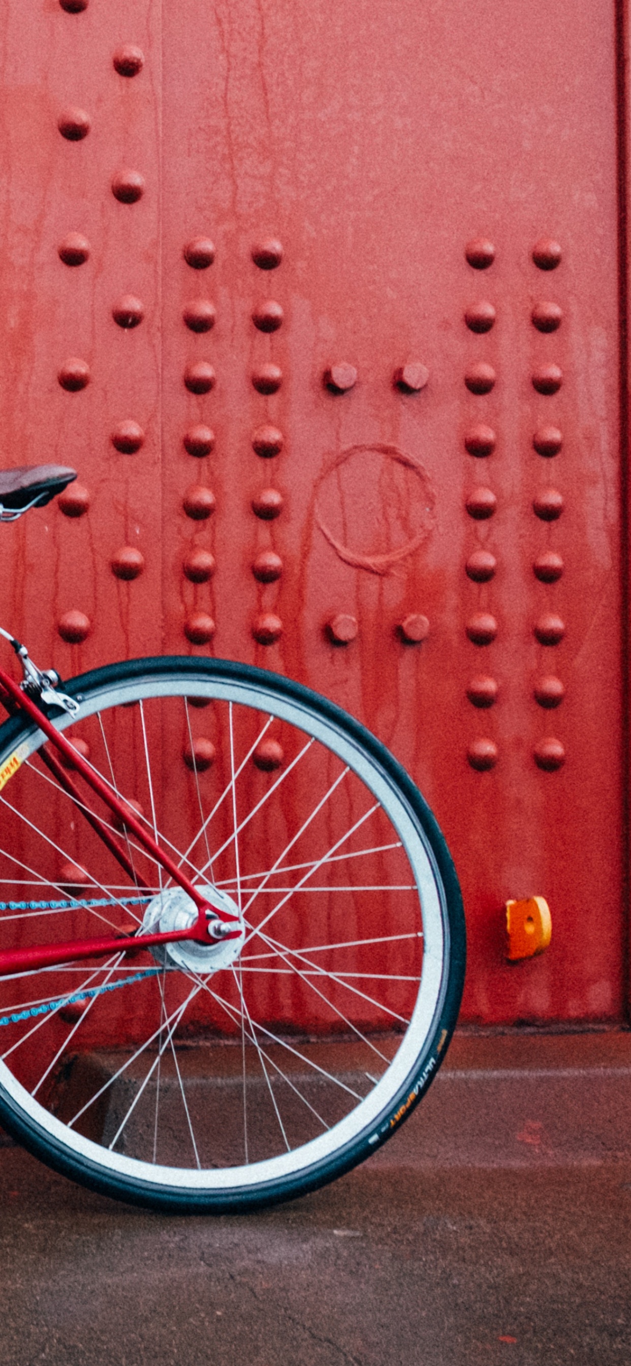 Обои велосипед, дорожный велосипед, красный цвет, стена, велосипедная рама в разрешении 1242x2688