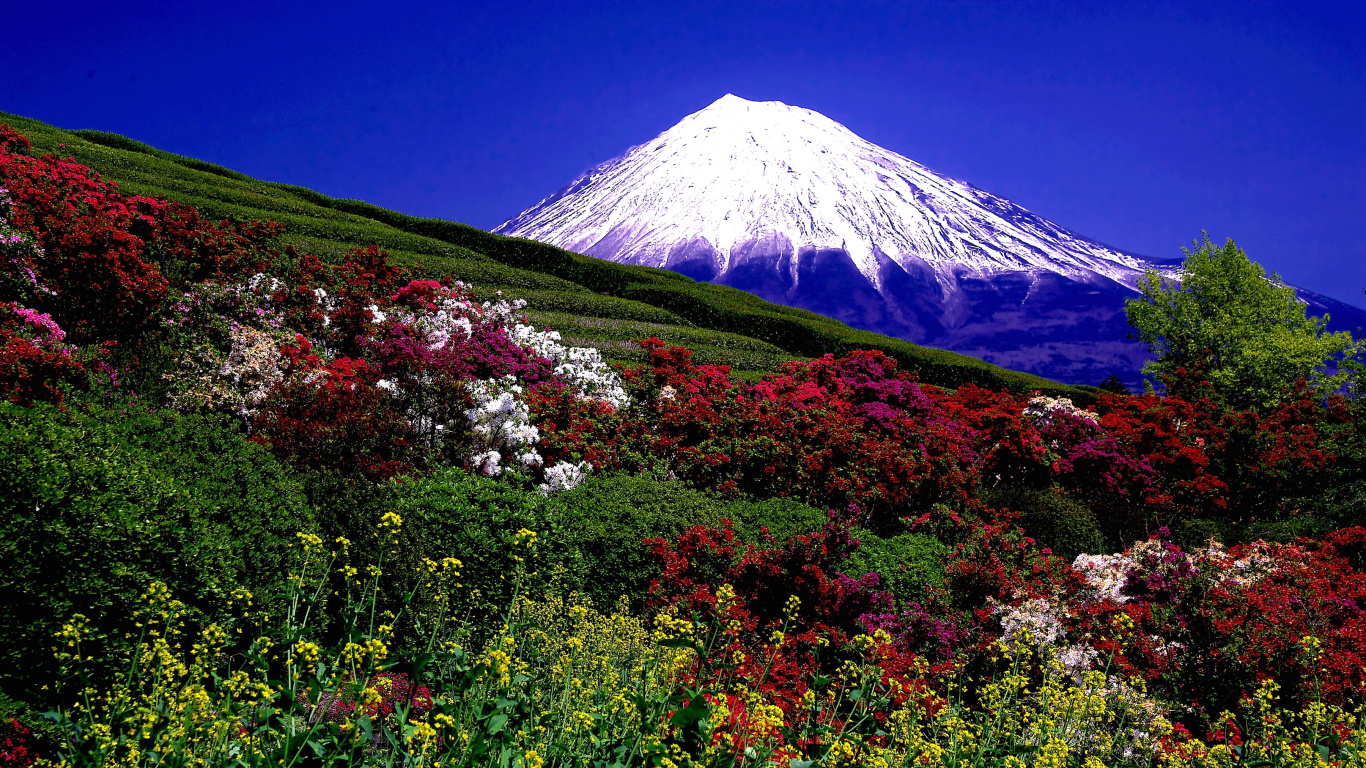 Обои пейзажи гор, гора, природа, дикая местность, растительность в разрешении 1366x768