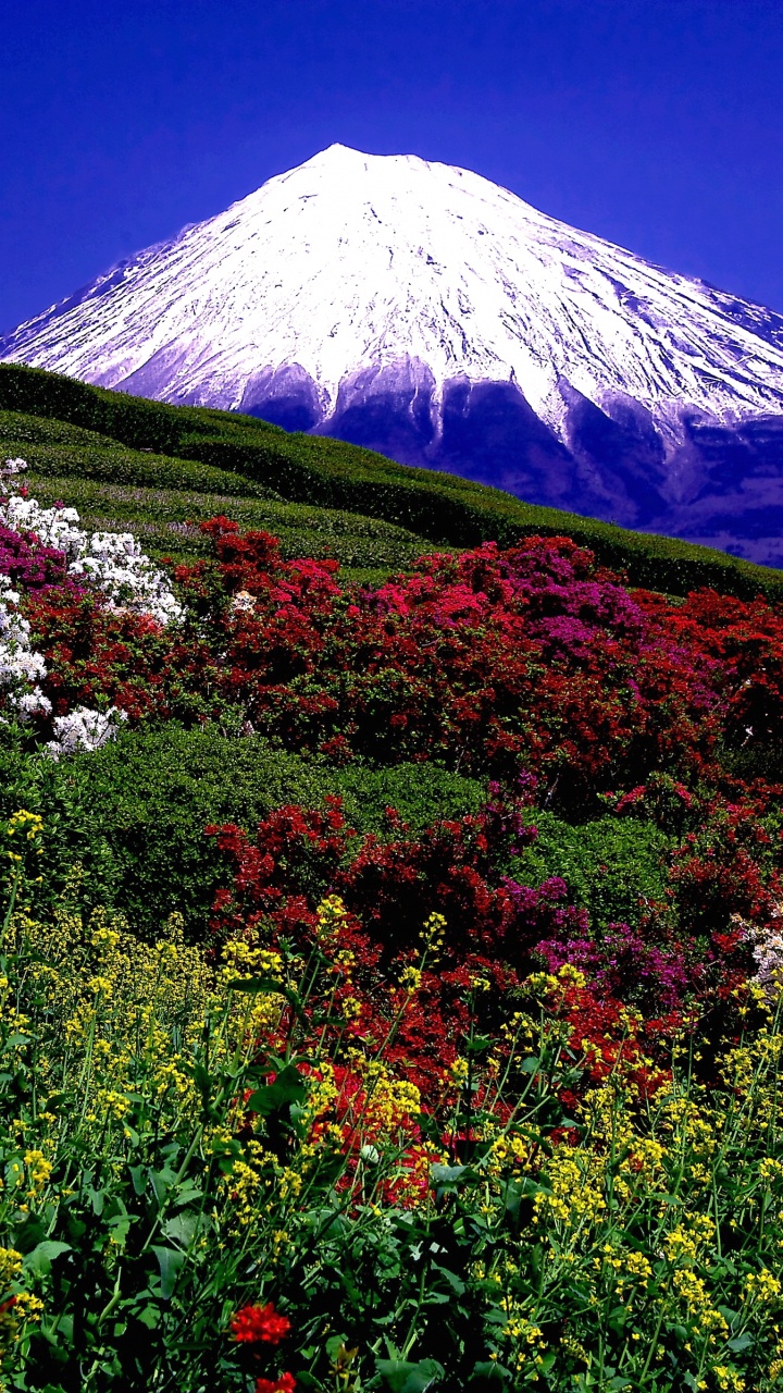 Обои пейзажи гор, гора, природа, дикая местность, растительность в разрешении 720x1280