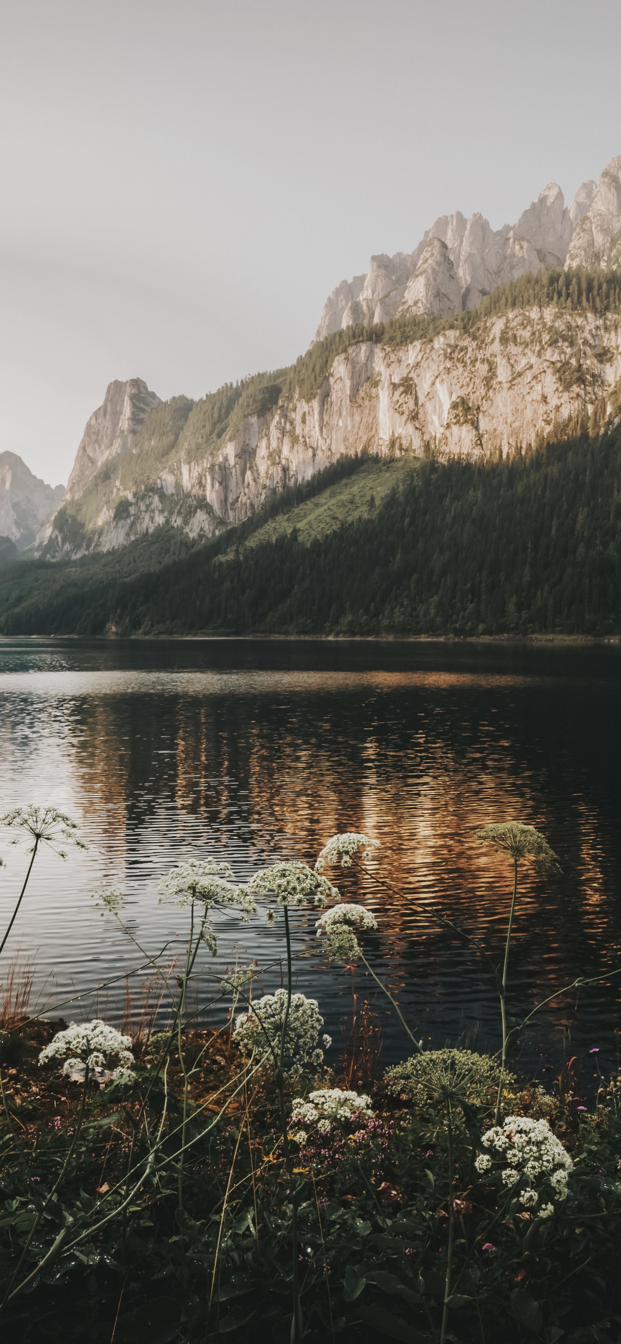 Обои отражение, Gosauseen, психология, вода, облако в разрешении 1242x2688