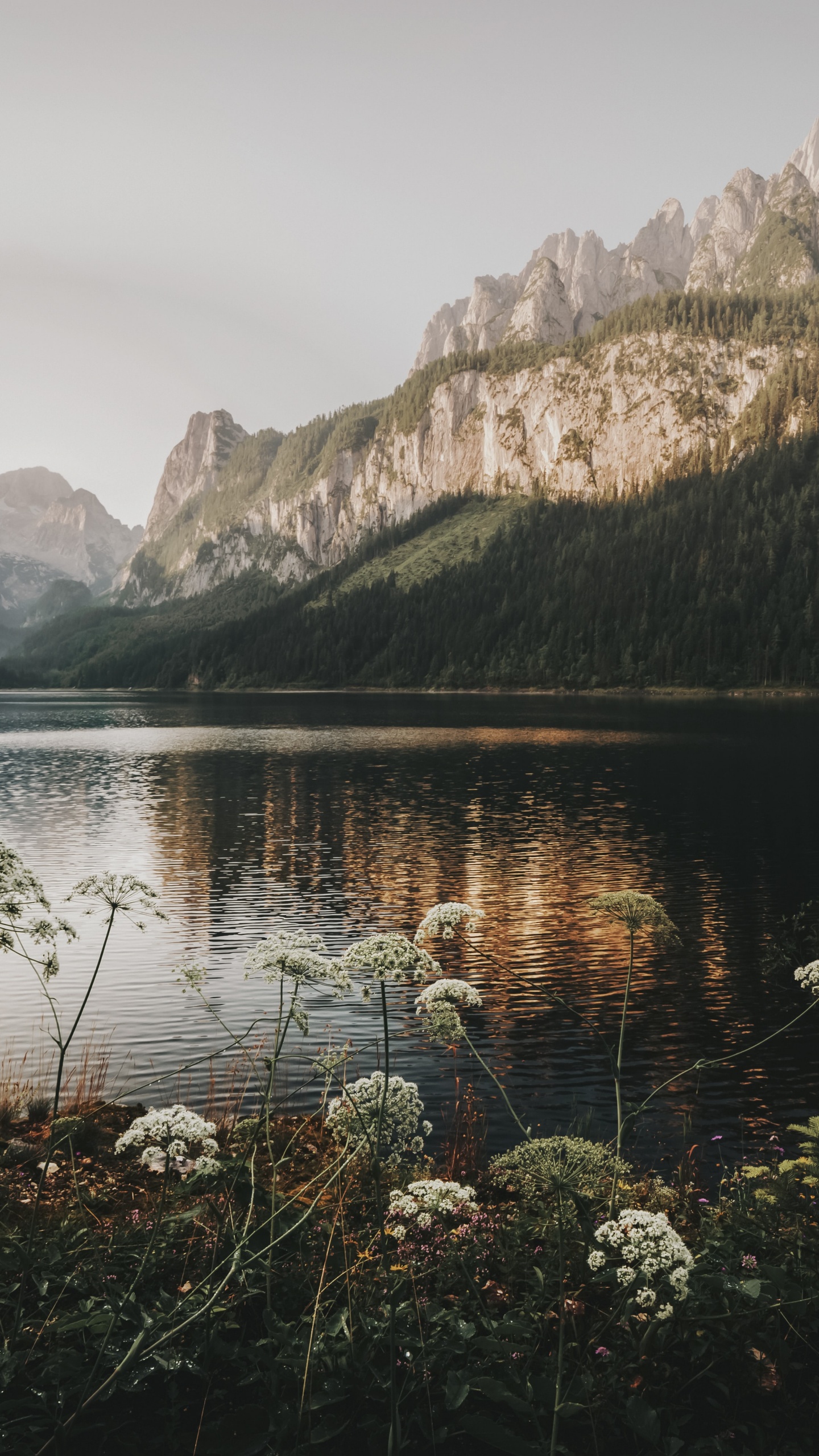 Обои отражение, Gosauseen, психология, вода, облако в разрешении 1440x2560