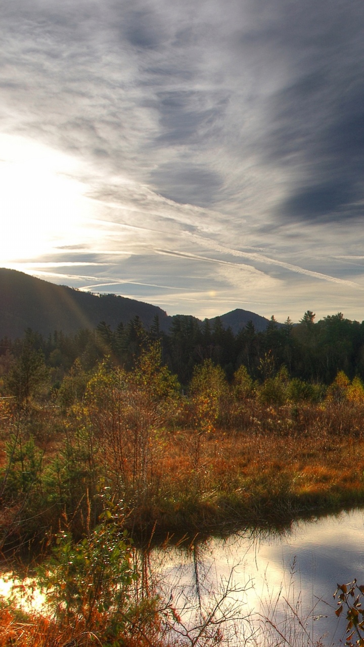 Обои отражение, природа, вода, облако, дерево в разрешении 720x1280