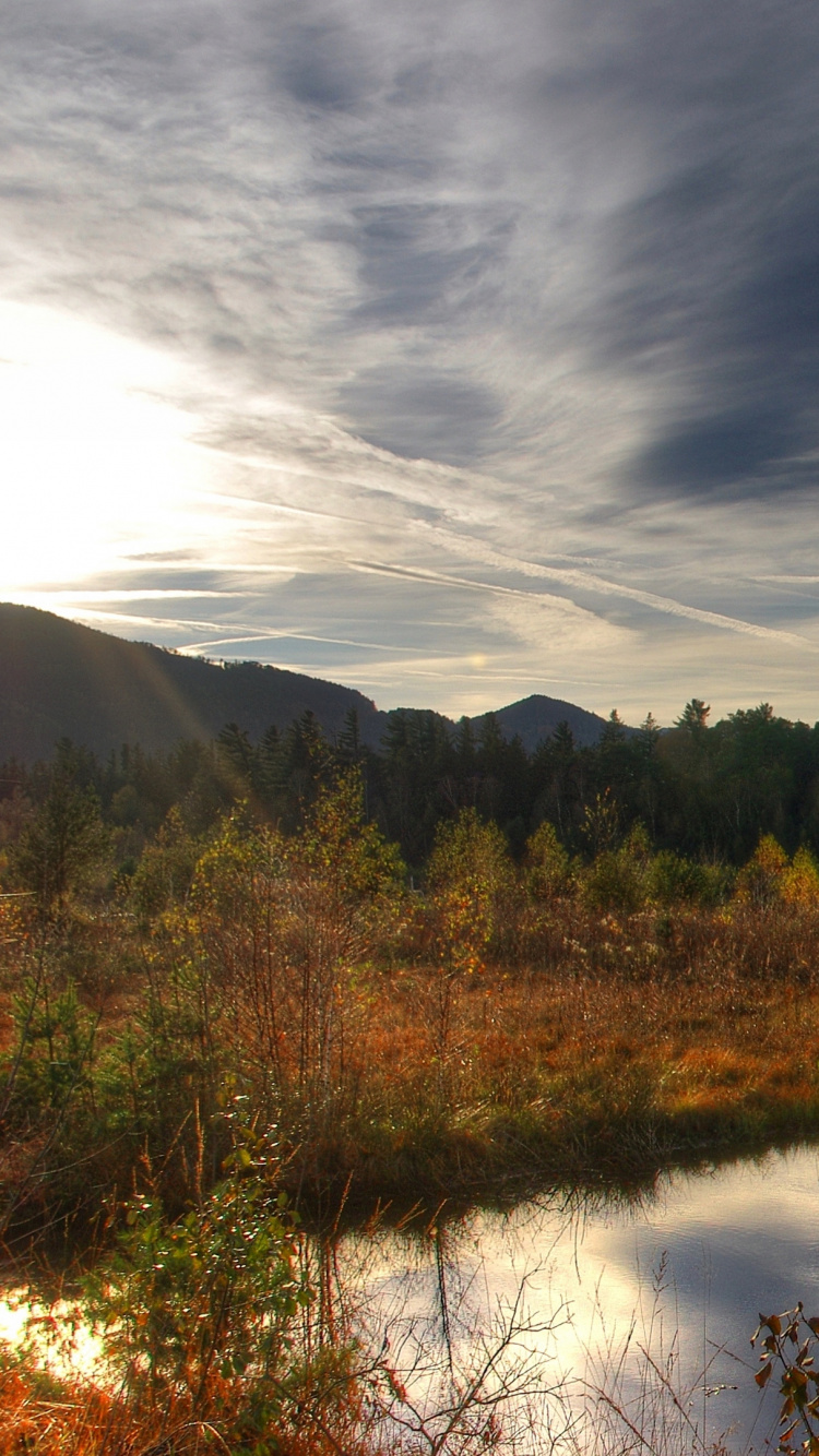 Обои отражение, природа, вода, облако, дерево в разрешении 750x1334