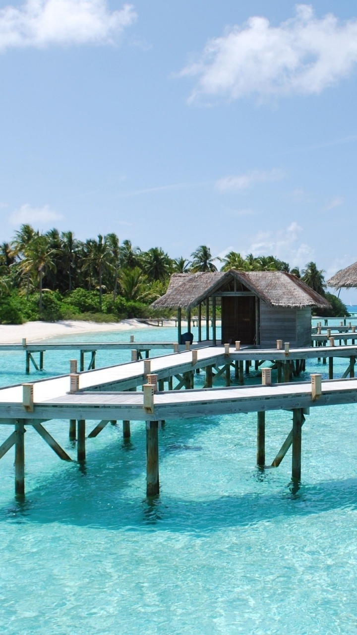 Обои прибежище, отпуск, тропическая зона, Лагуна, плавательный бассейн в разрешении 720x1280