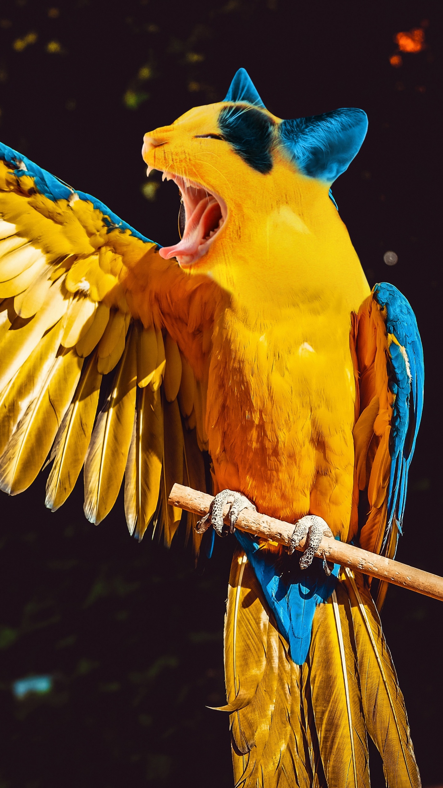 Обои Ара, длиннохвостый попугай, птица, клюв, попугай в разрешении 1440x2560