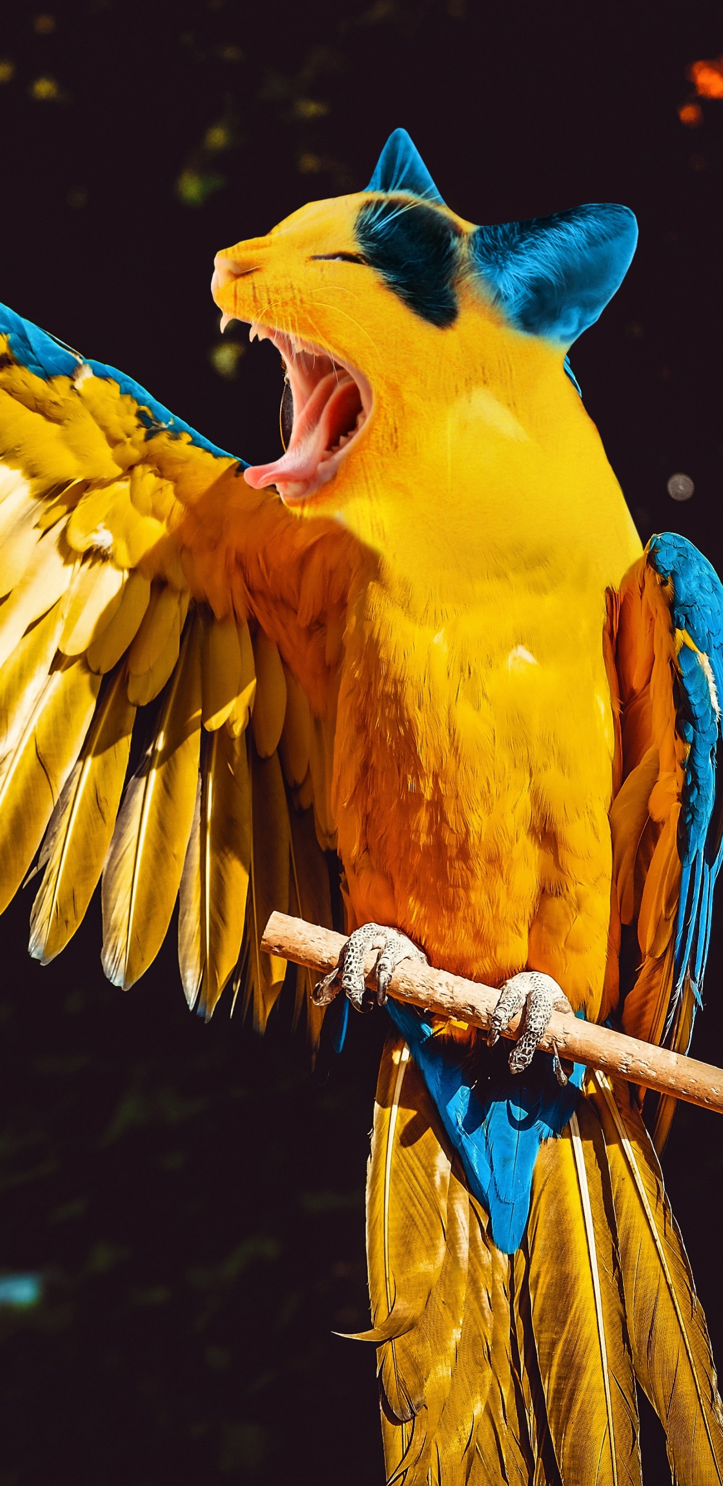 Обои Ара, длиннохвостый попугай, птица, клюв, попугай в разрешении 1440x2960