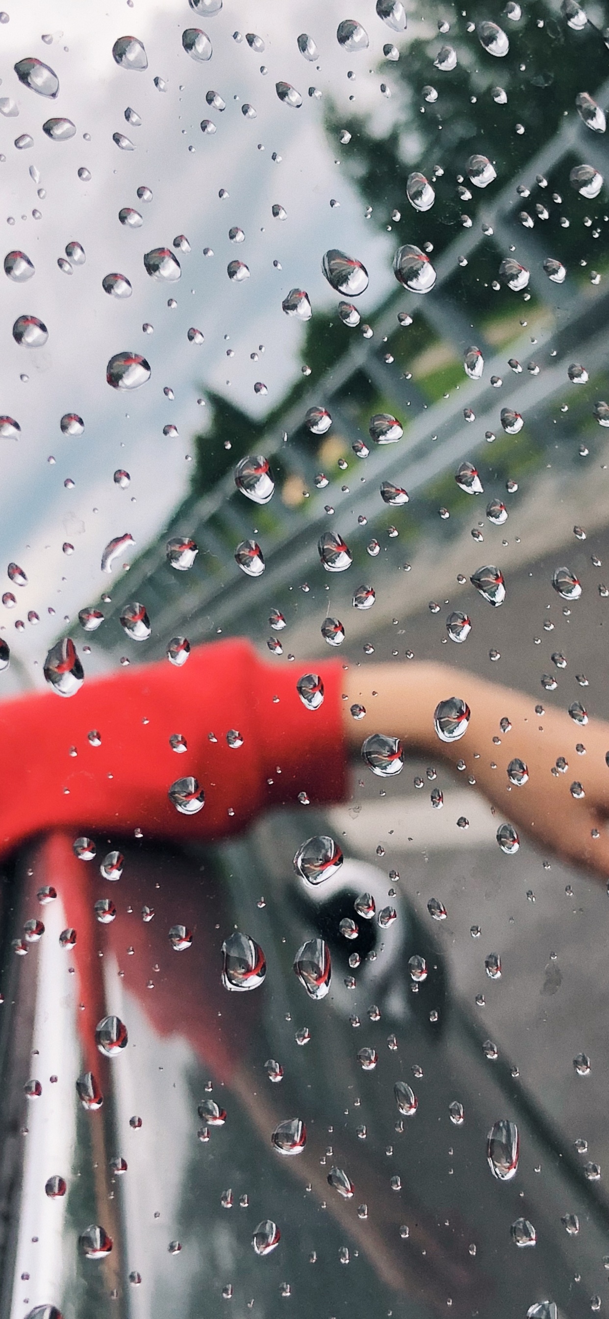 Обои дождь, жидкий, жидкость, падение, влага в разрешении 1242x2688