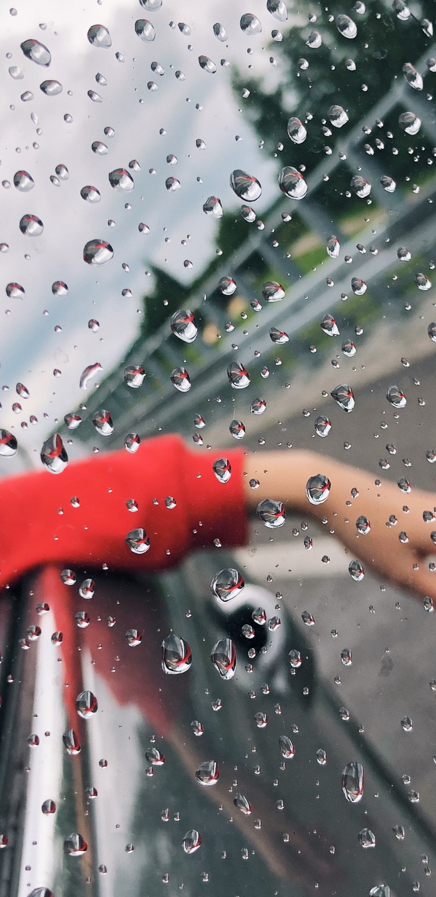 Обои дождь, жидкий, жидкость, падение, влага в разрешении 1440x2960