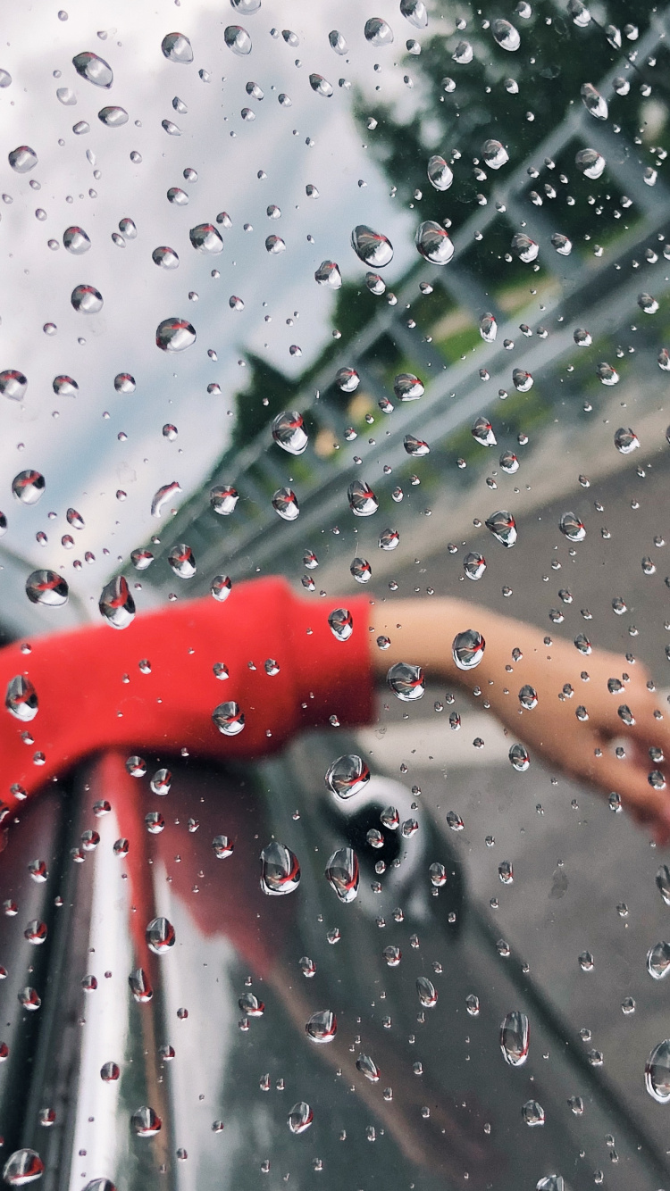 Обои дождь, жидкий, жидкость, падение, влага в разрешении 750x1334
