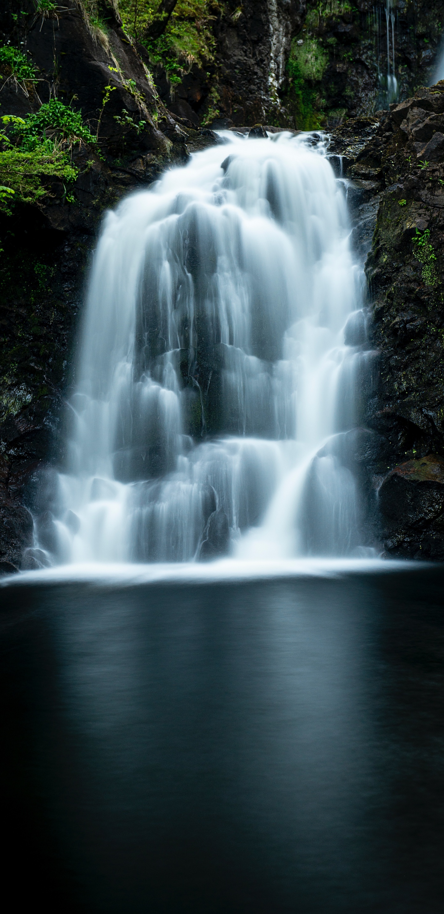 Обои водопад, водоем, гидроресурсы, природный ландшафт, природа в разрешении 1440x2960