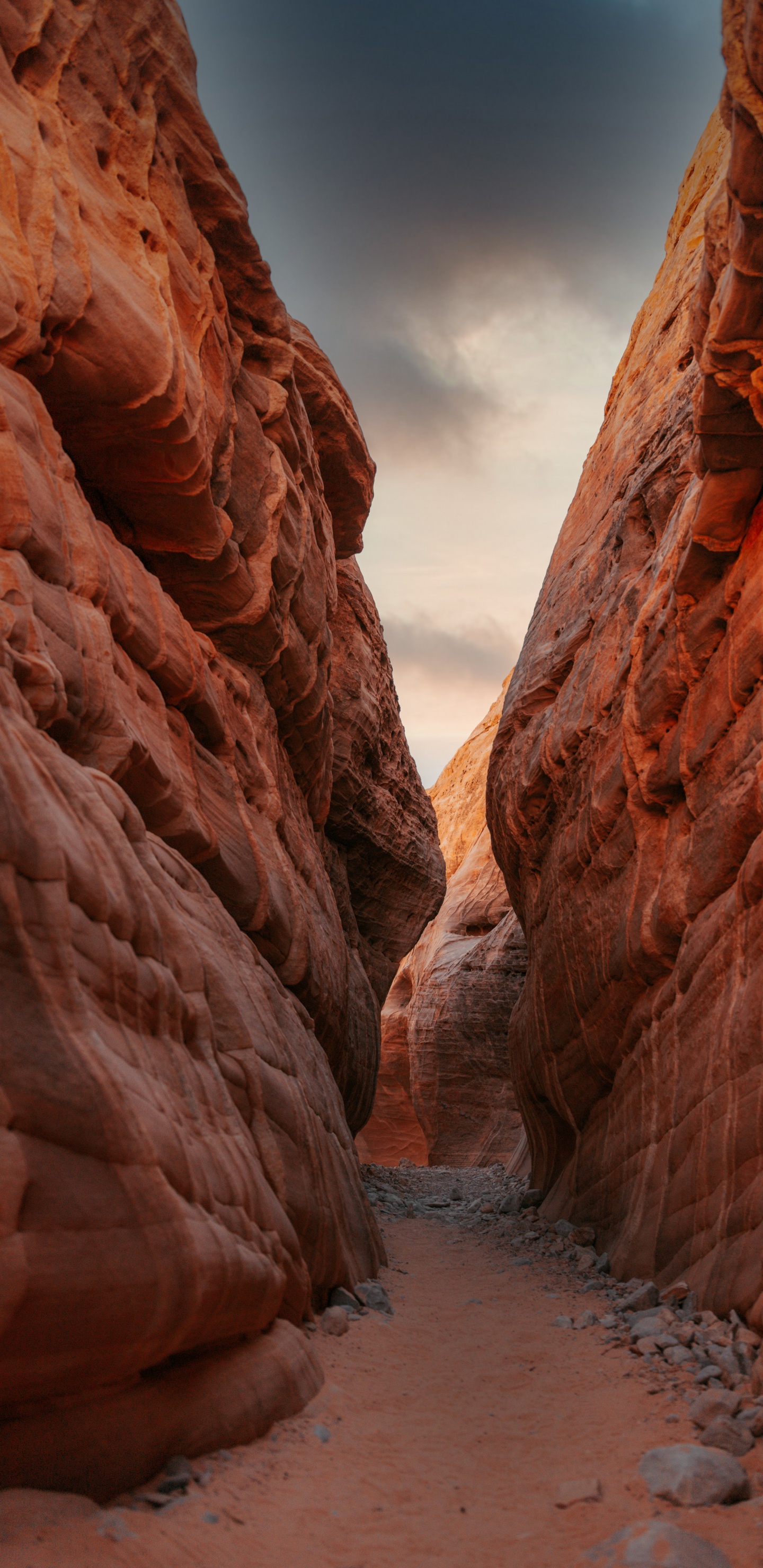 Обои облако, экорегион, коренная порода, природный ландшафт, пейзаж в разрешении 1440x2960
