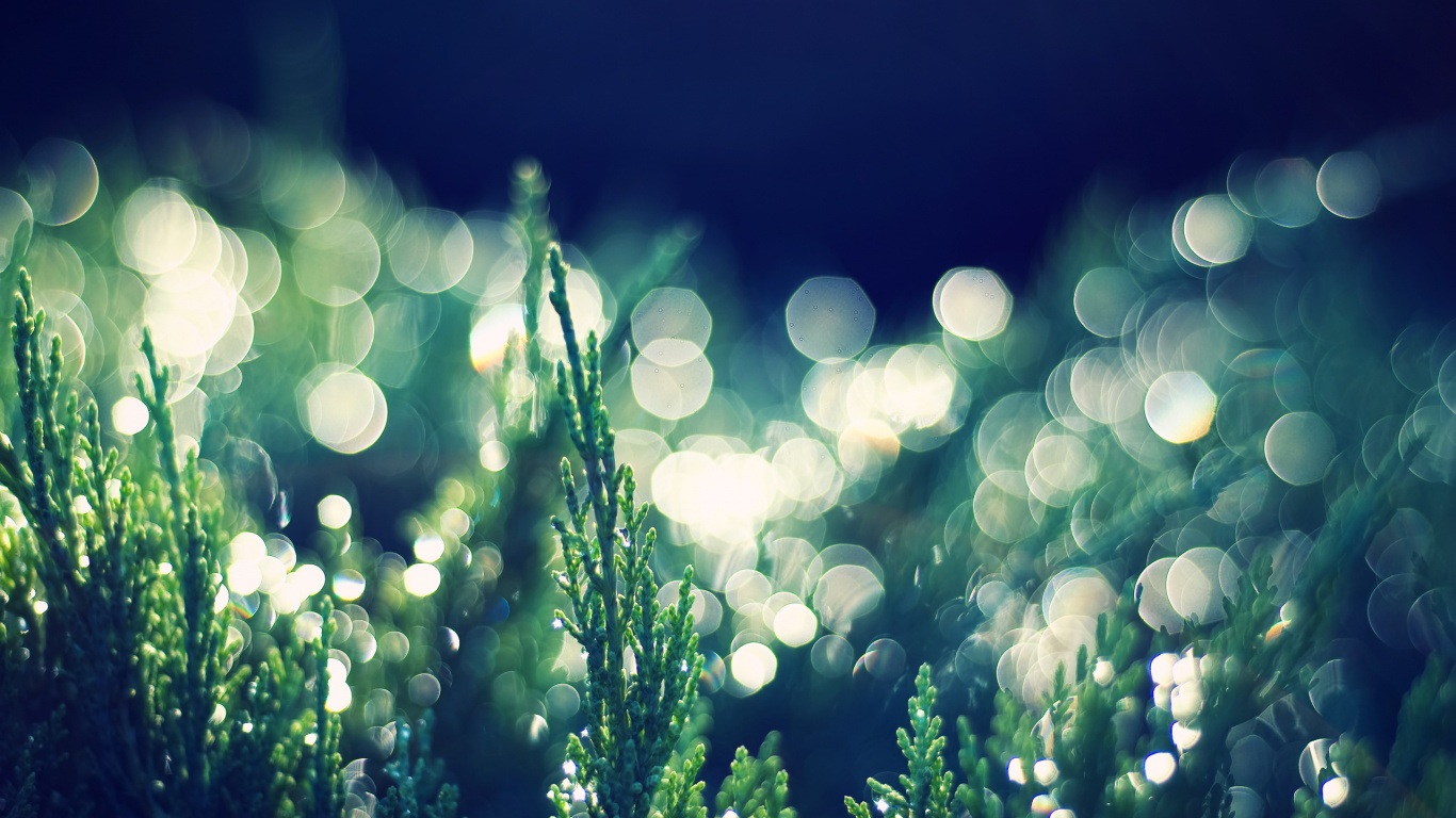 Обои боке, зеленый, вода, природа, свет в разрешении 1366x768