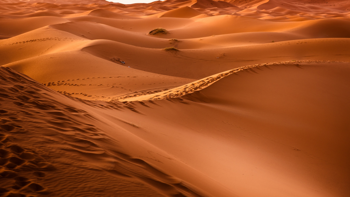 Обои Дюна, пустыня, песок, эрг, эолийские рельефы в разрешении 1366x768