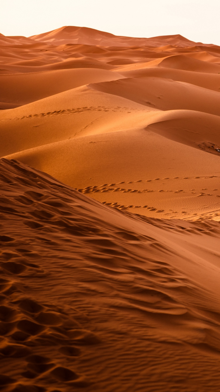 Обои Дюна, пустыня, песок, эрг, эолийские рельефы в разрешении 750x1334