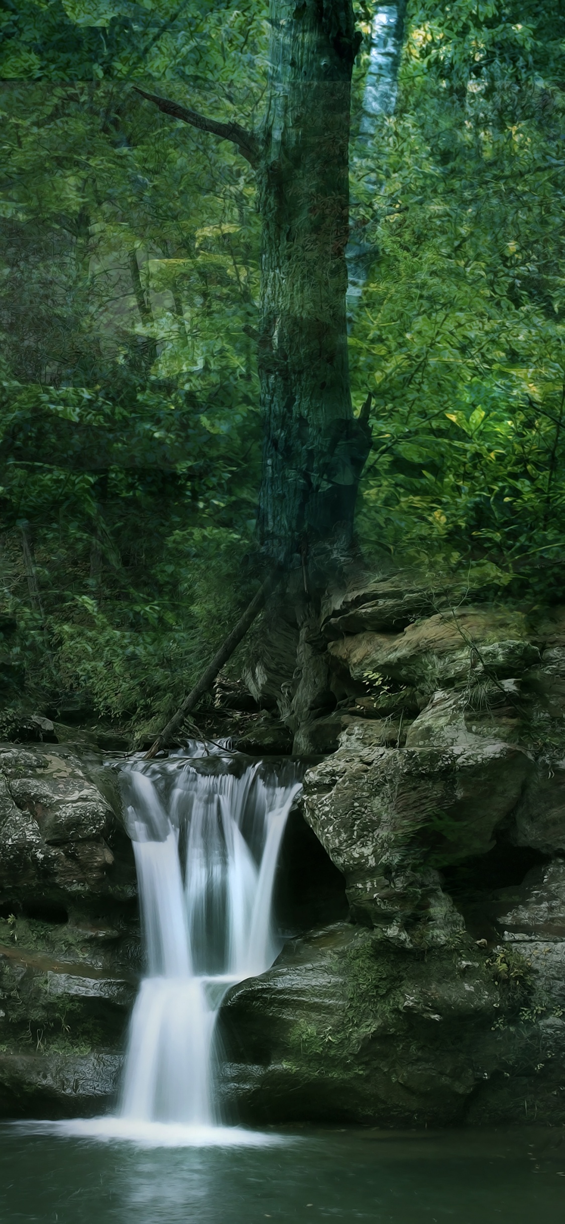 Обои старые пещеры трейлхед парковка-Ман, водоем, природа, растительность, природный заповедник в разрешении 1125x2436
