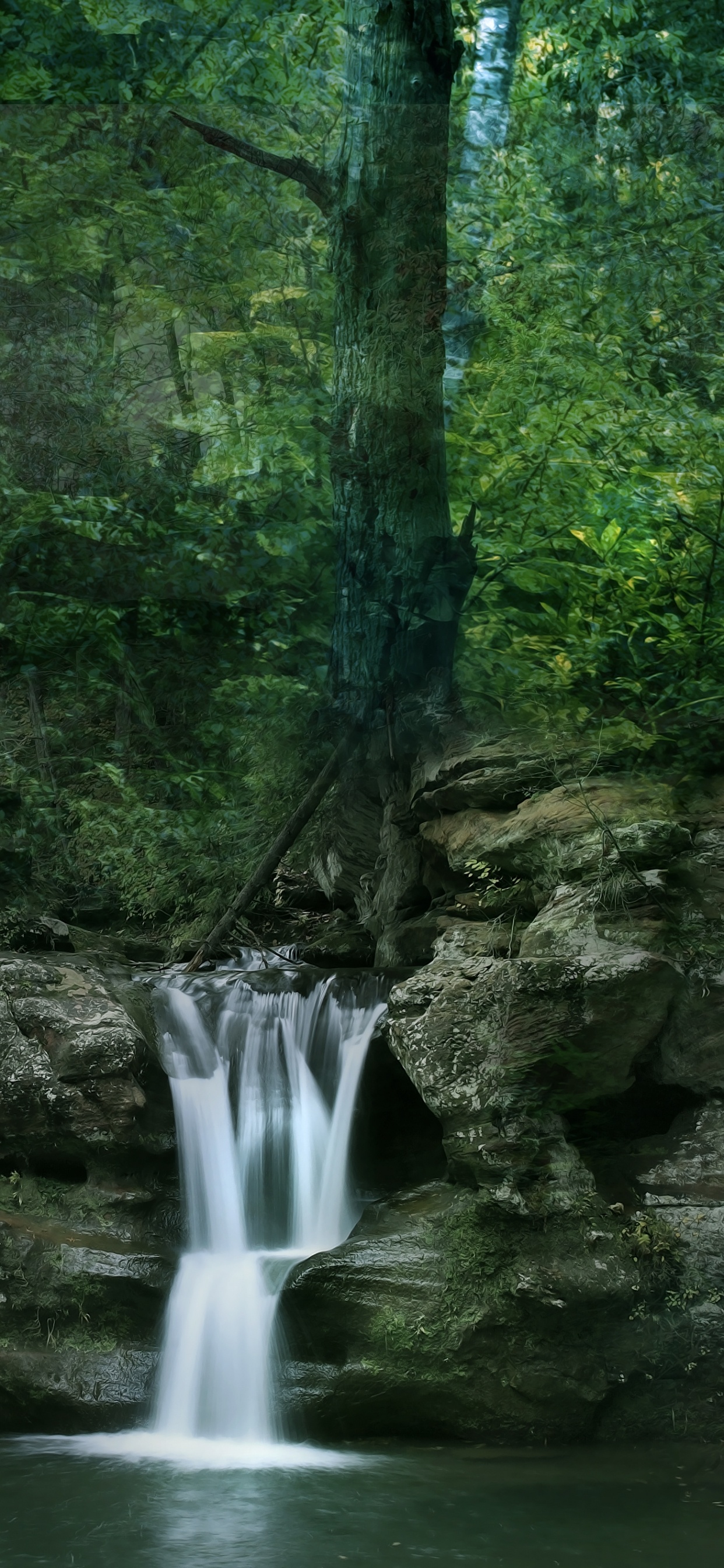 Обои старые пещеры трейлхед парковка-Ман, водоем, природа, растительность, природный заповедник в разрешении 1242x2688