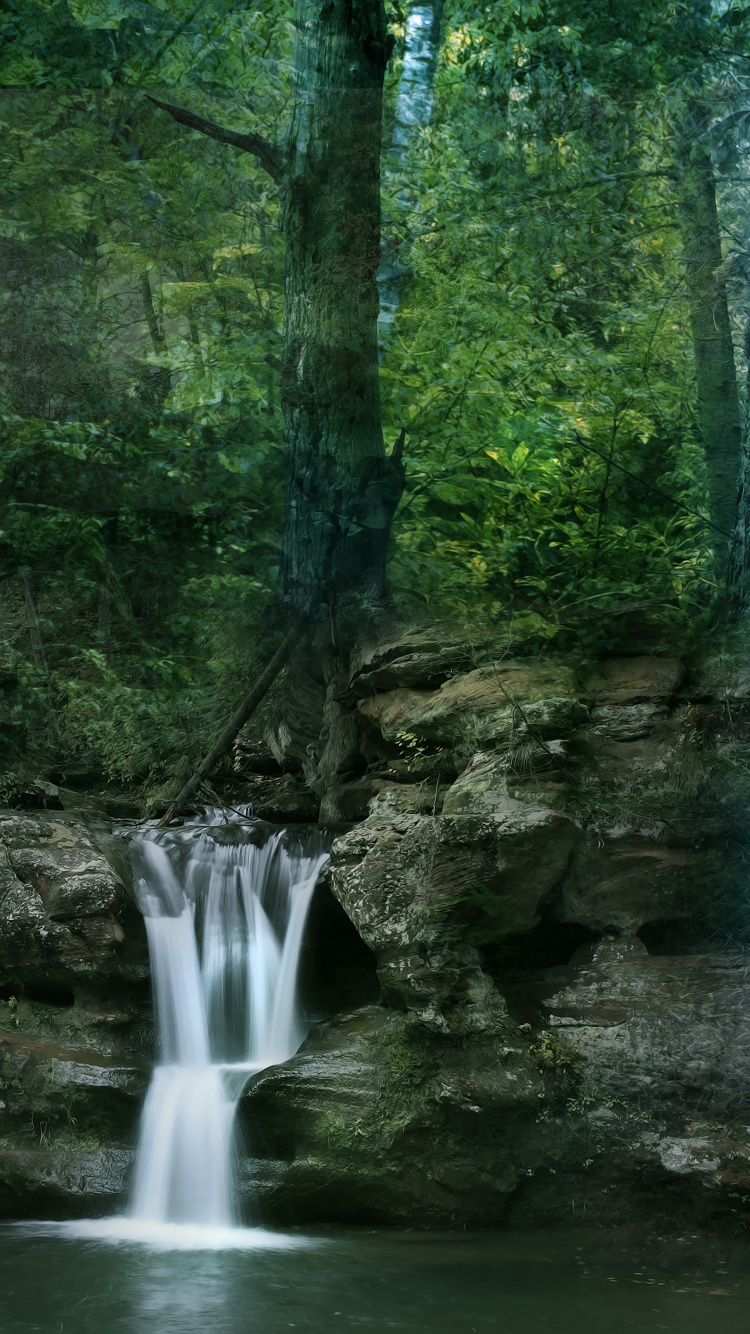Обои старые пещеры трейлхед парковка-Ман, водоем, природа, растительность, природный заповедник в разрешении 750x1334