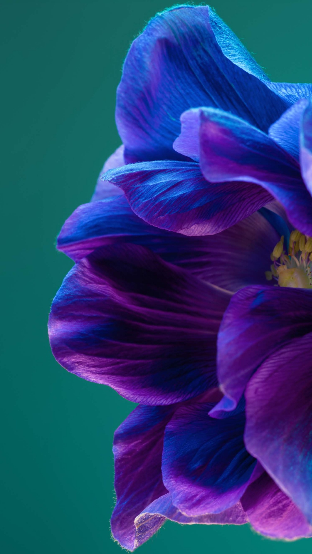 Обои Huawei, Huawei P40 Pro, huawei p40, смартфон, андроид в разрешении 1080x1920