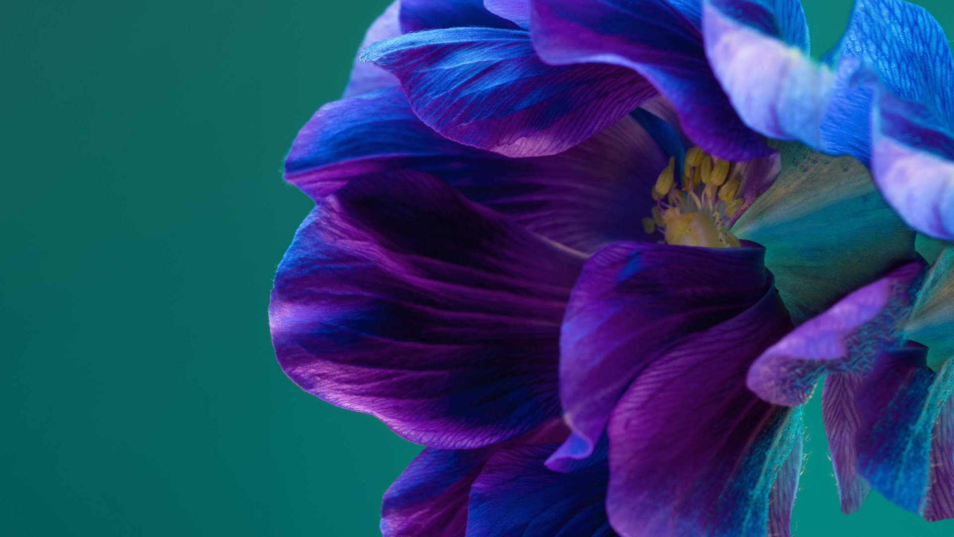 Обои Huawei, Huawei P40 Pro, huawei p40, смартфон, андроид в разрешении 1920x1080