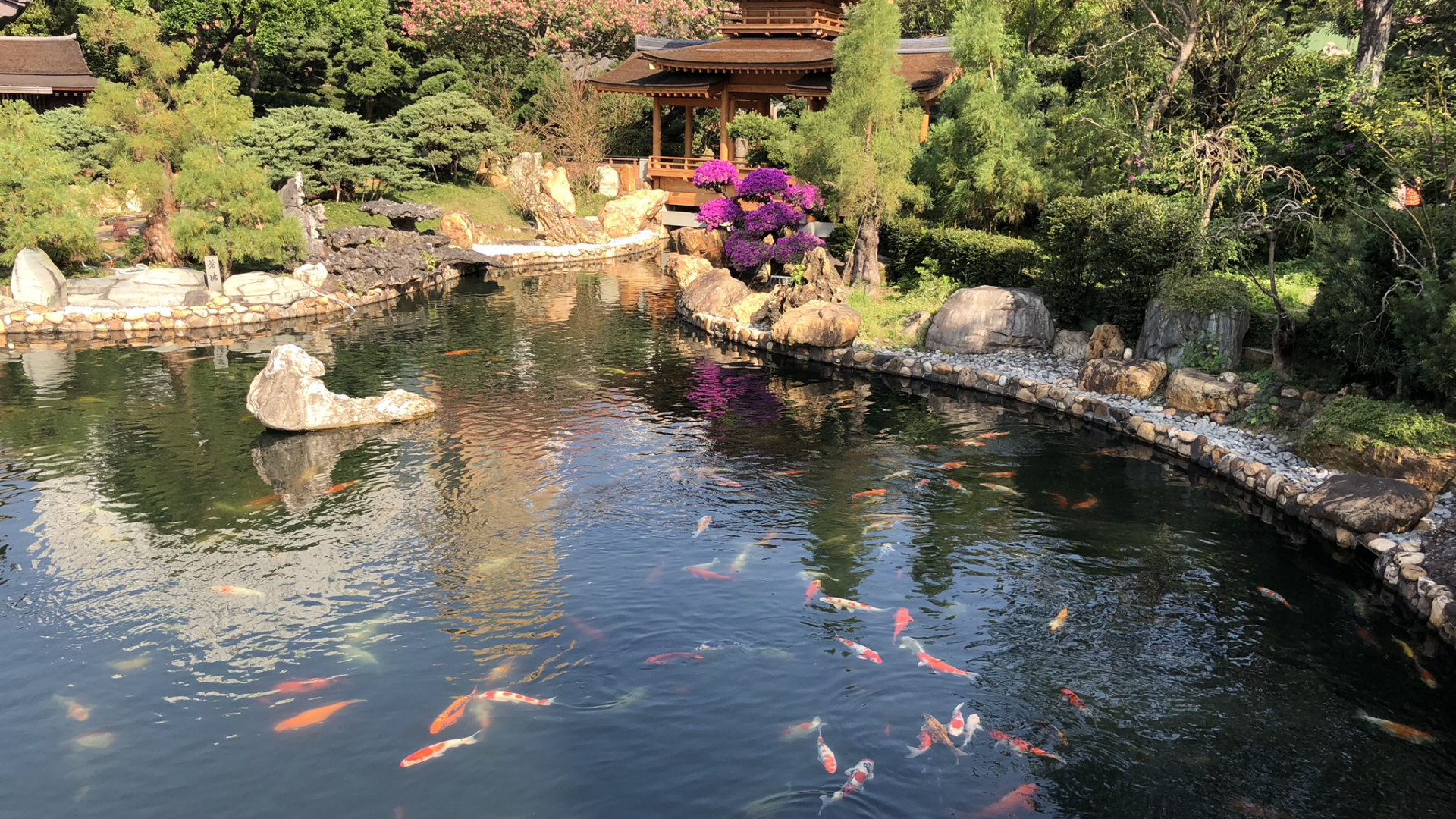 Обои отражение, водоток, сад, гидроресурсы, водные элементы в разрешении 1920x1080