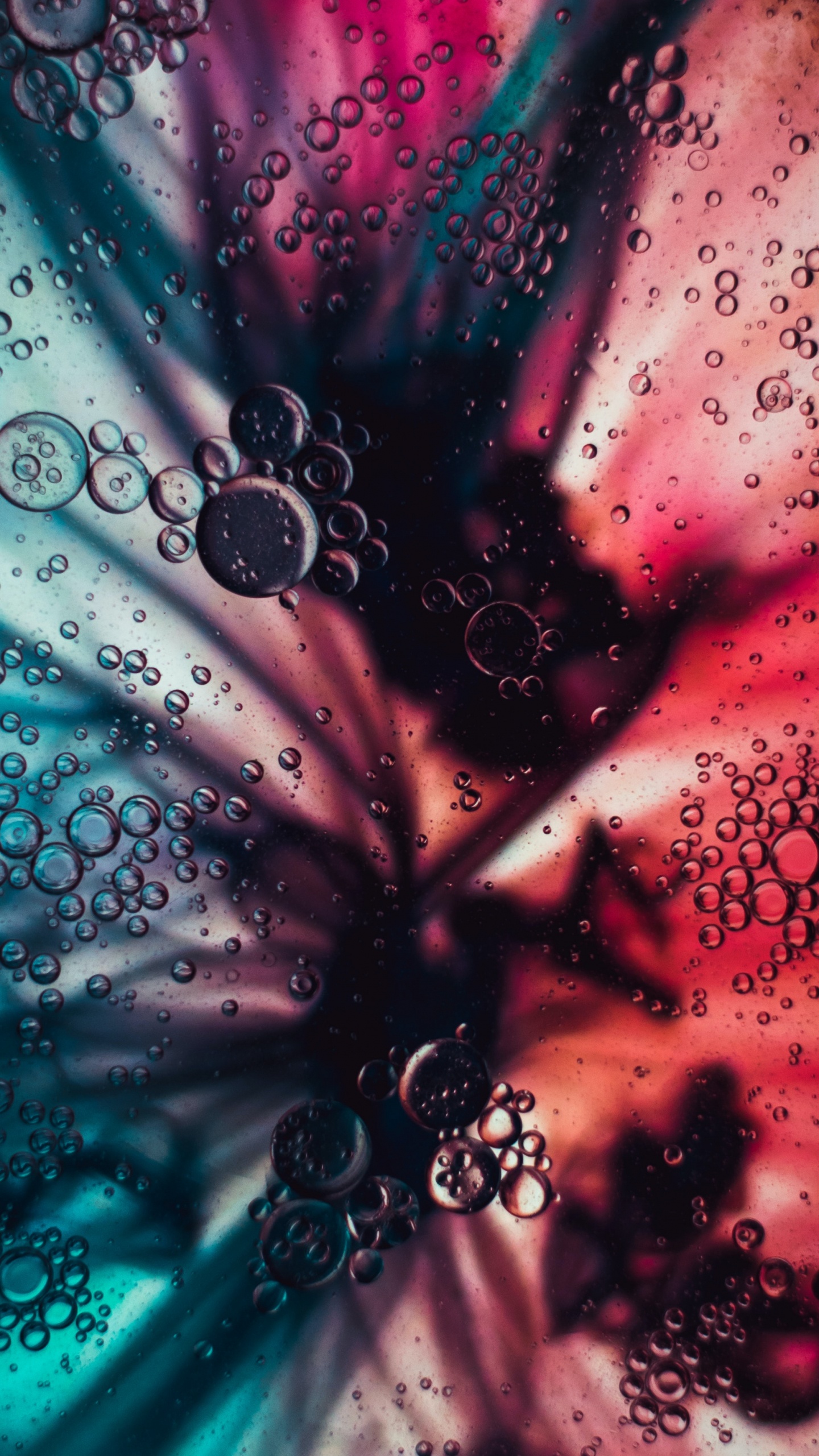 Обои вода, пузырь, жидкий, пурпур, свет в разрешении 1440x2560