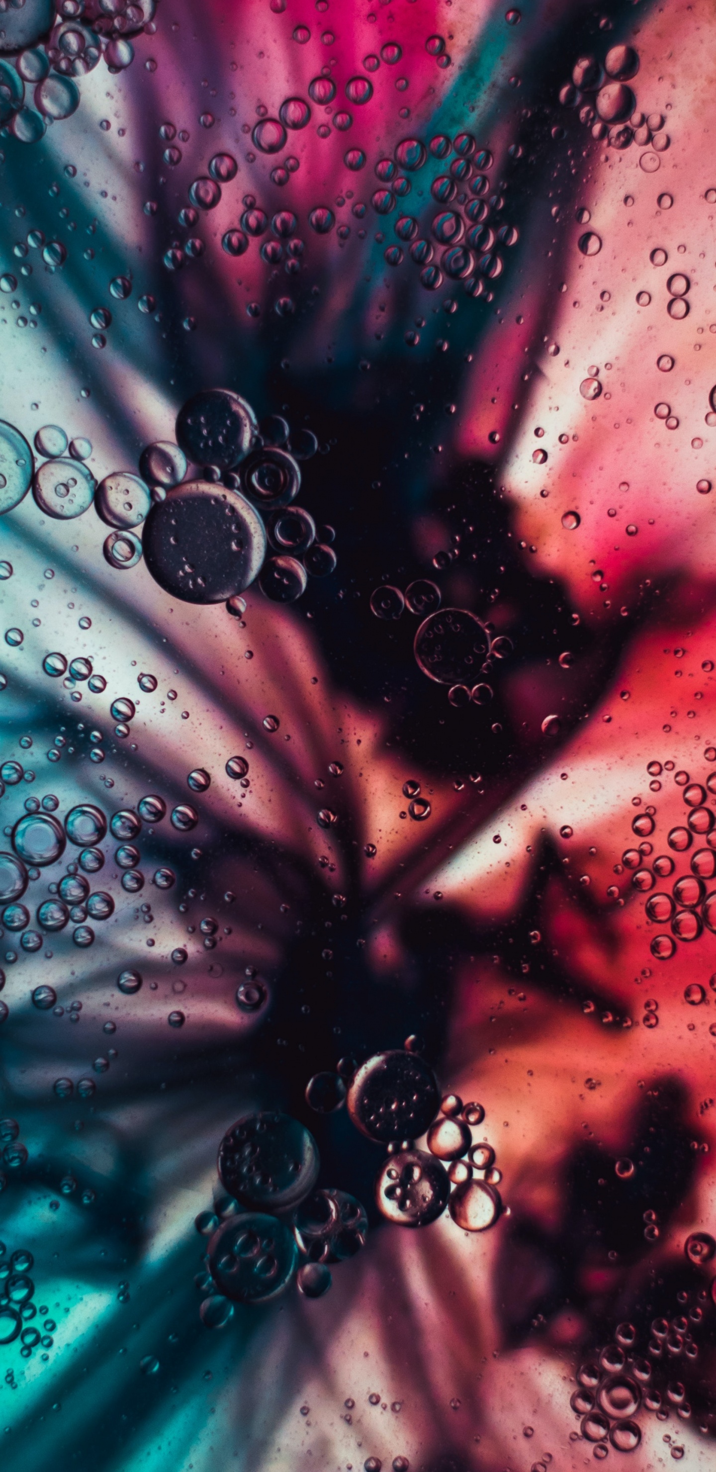 Обои вода, пузырь, жидкий, пурпур, свет в разрешении 1440x2960