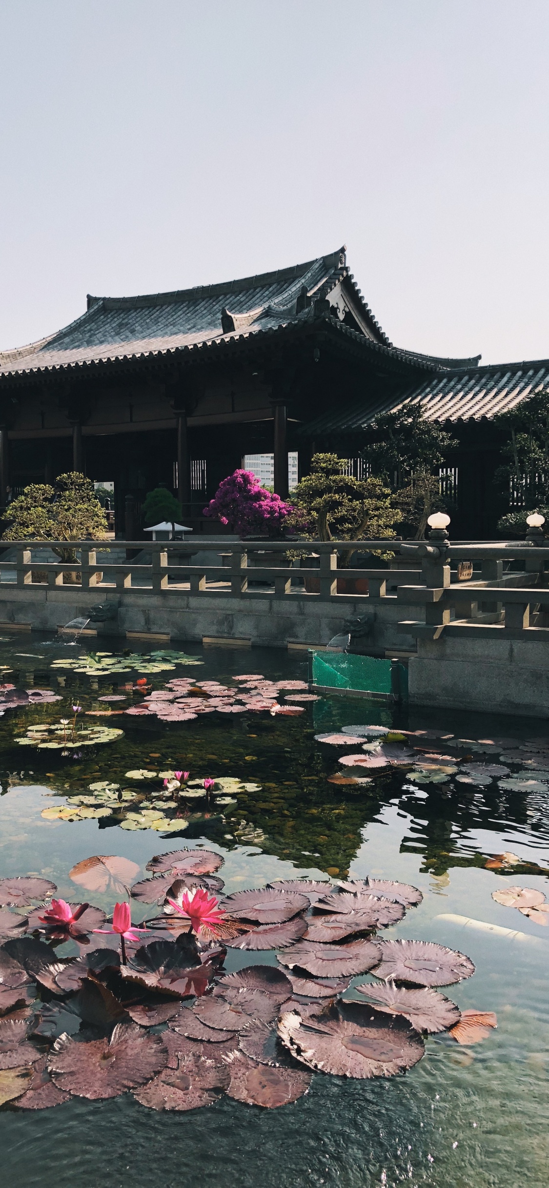 Обои отражение, туризм, вода, достопримечательность, водоем в разрешении 1125x2436