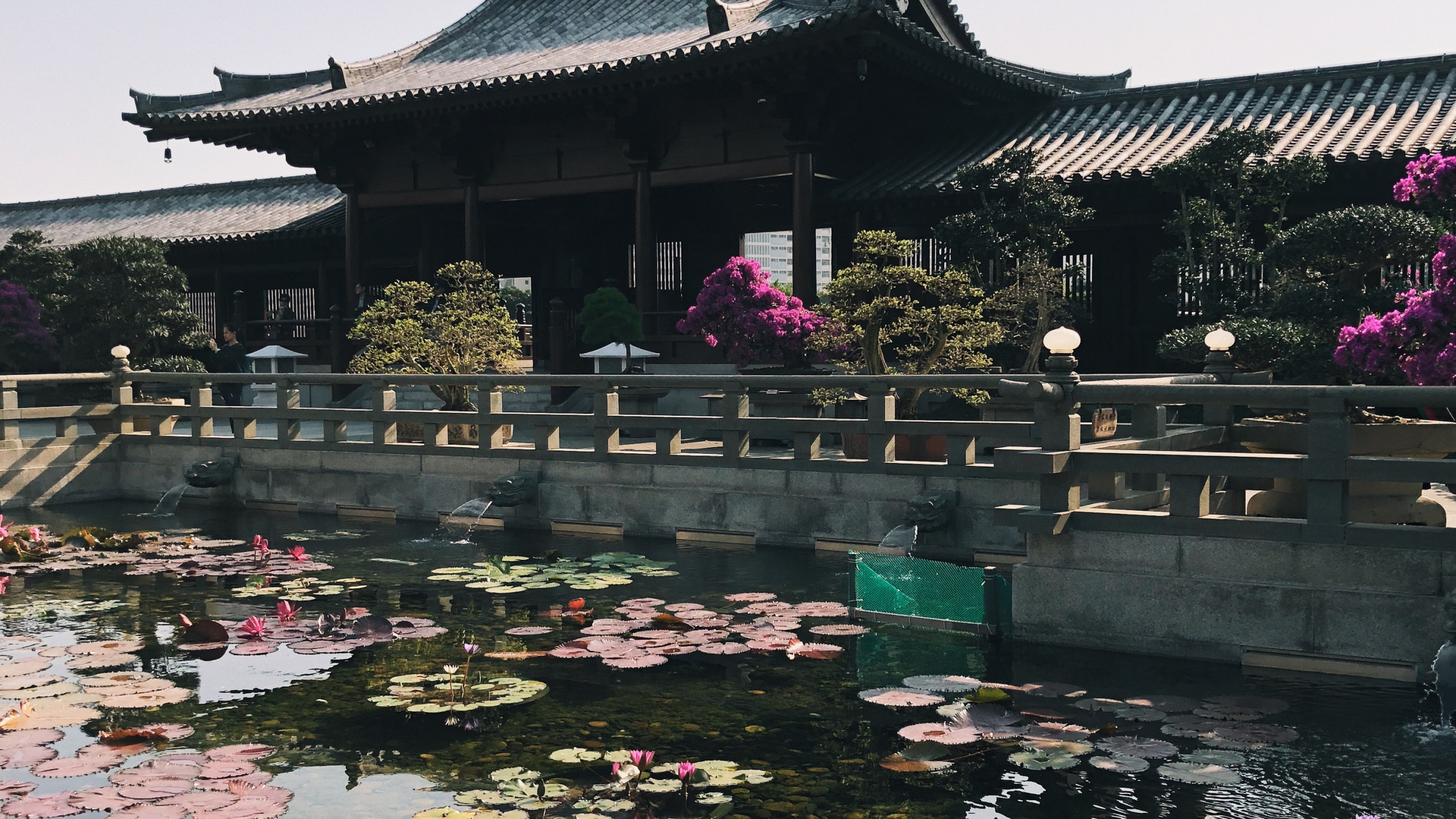 Обои отражение, туризм, вода, достопримечательность, водоем в разрешении 2560x1440