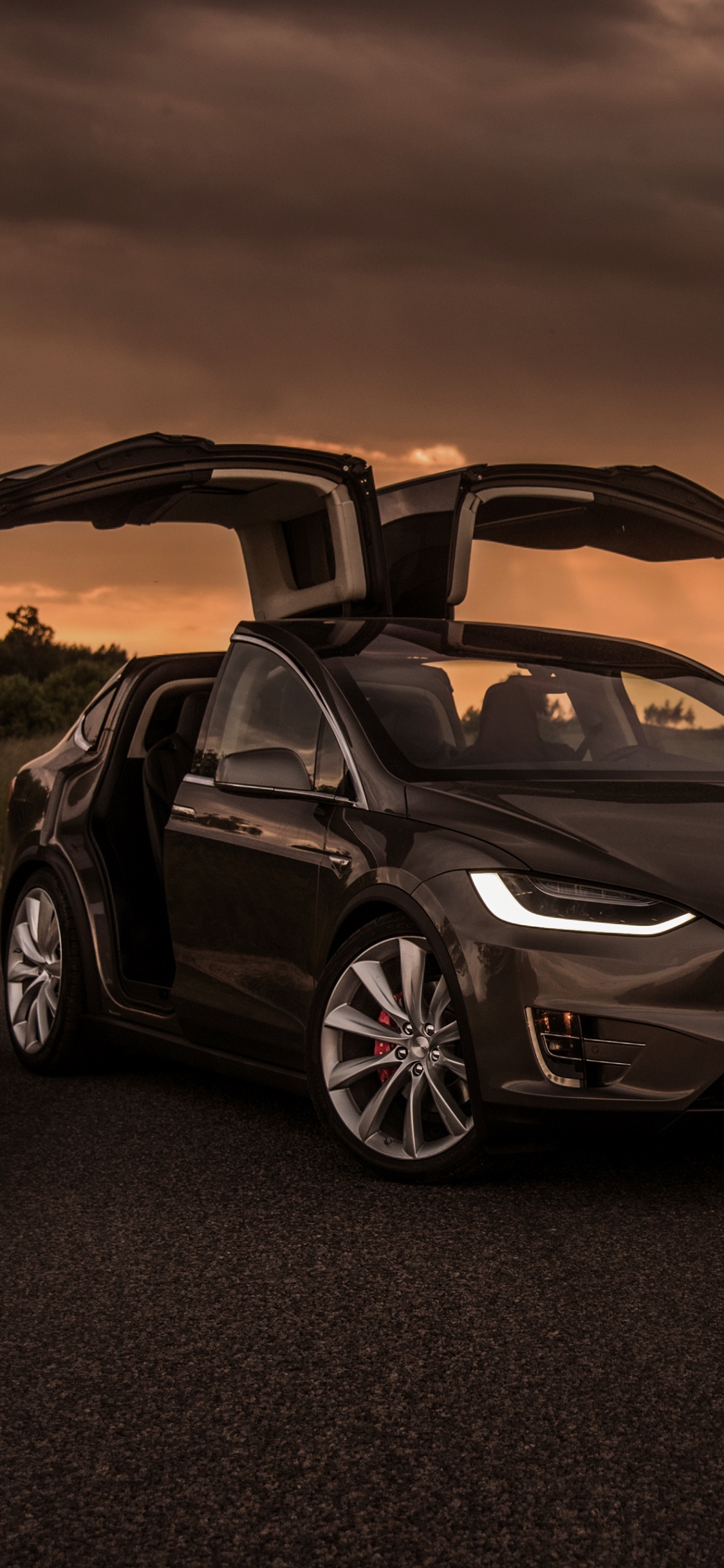 Обои Tesla Model X, 2019 Тесла Модель Х, Tesla, Tesla Model S, авто в разрешении 1125x2436