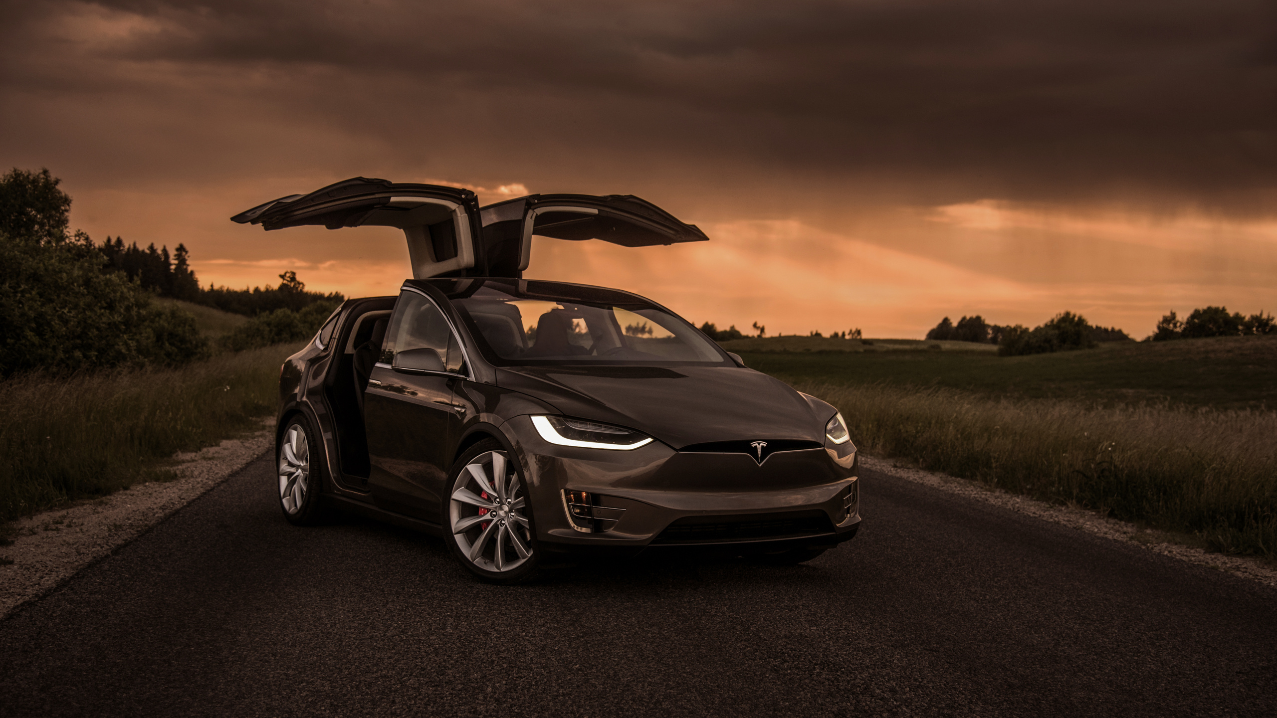 Обои Tesla Model X, 2019 Тесла Модель Х, Tesla, Tesla Model S, авто в разрешении 2560x1440