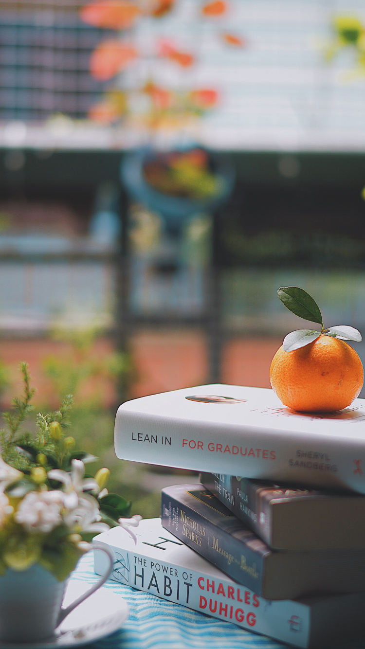 Обои книга, чтение, таблица, Апельсин, комната в разрешении 750x1334