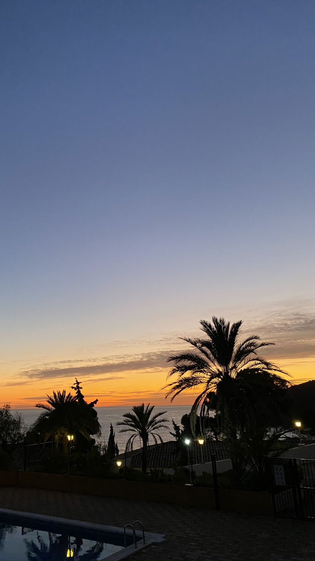 Обои пальмовые рощи, закат, сумрак, восход солнца, послесвечение в разрешении 1080x1920