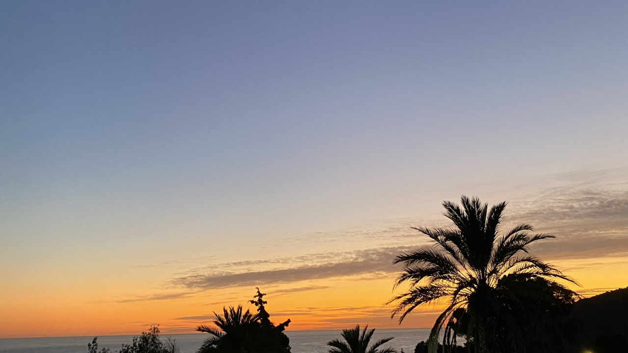 Обои пальмовые рощи, закат, сумрак, восход солнца, послесвечение в разрешении 1280x720