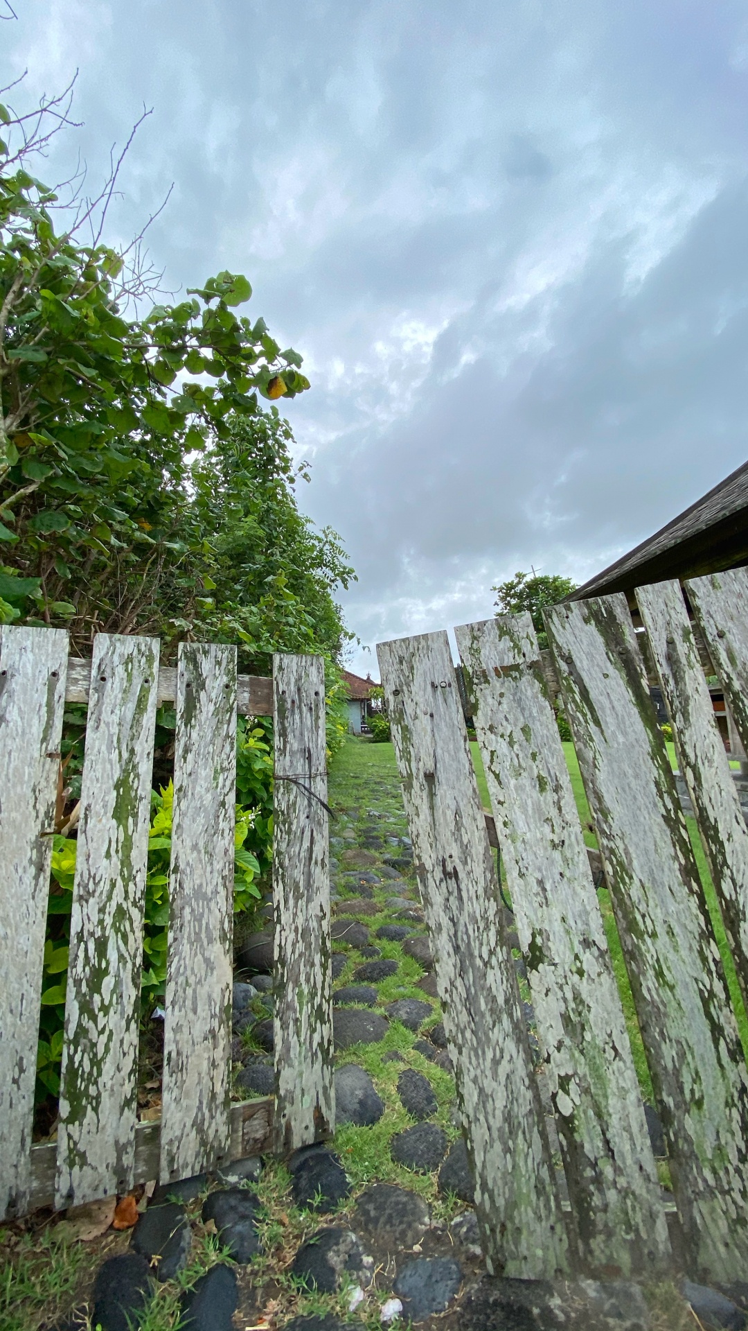 Обои стена, сельский район, почвопокровная, плантация, номера сосудистых растений в разрешении 1080x1920