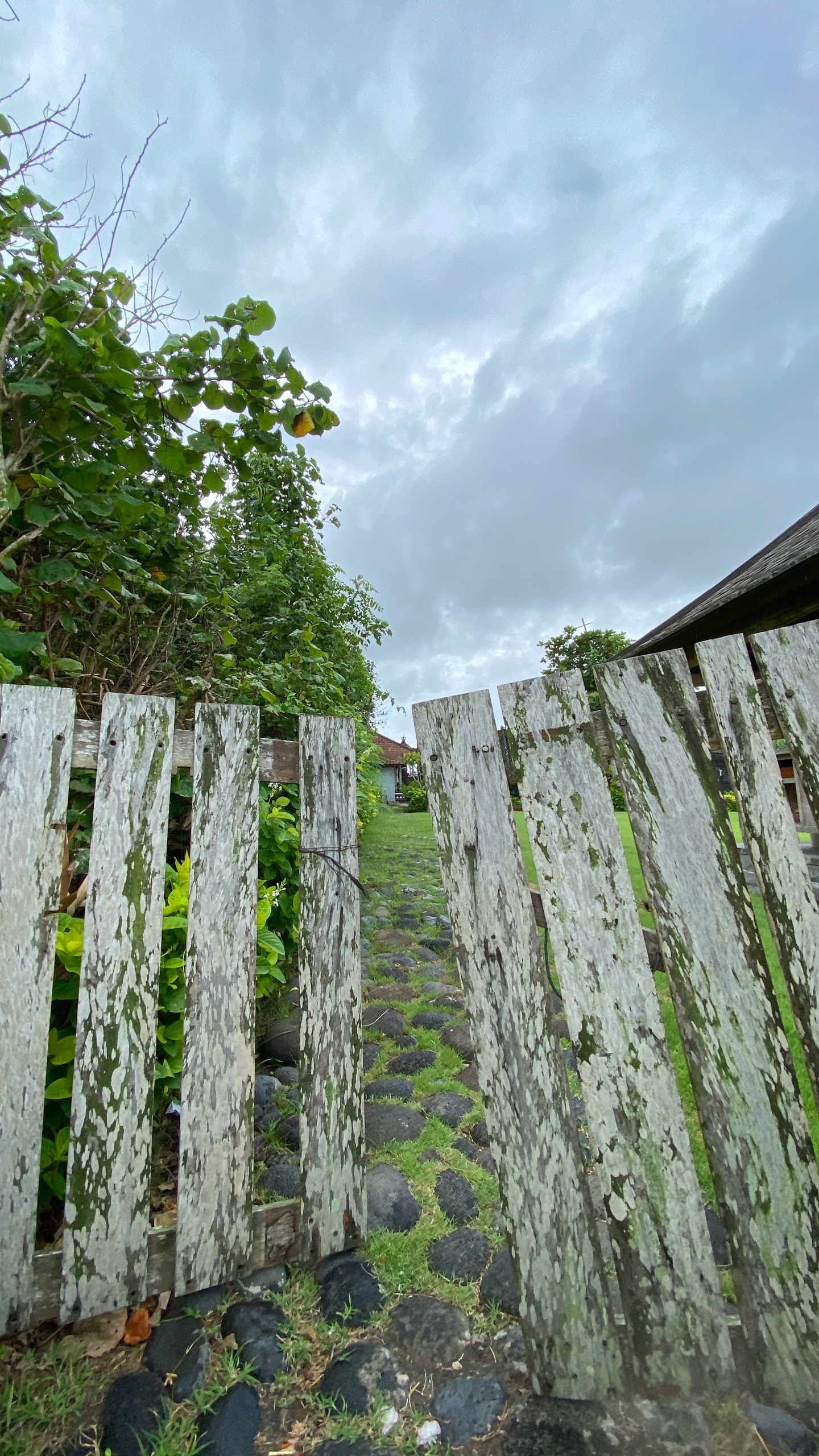 Обои стена, сельский район, почвопокровная, плантация, номера сосудистых растений в разрешении 1440x2560