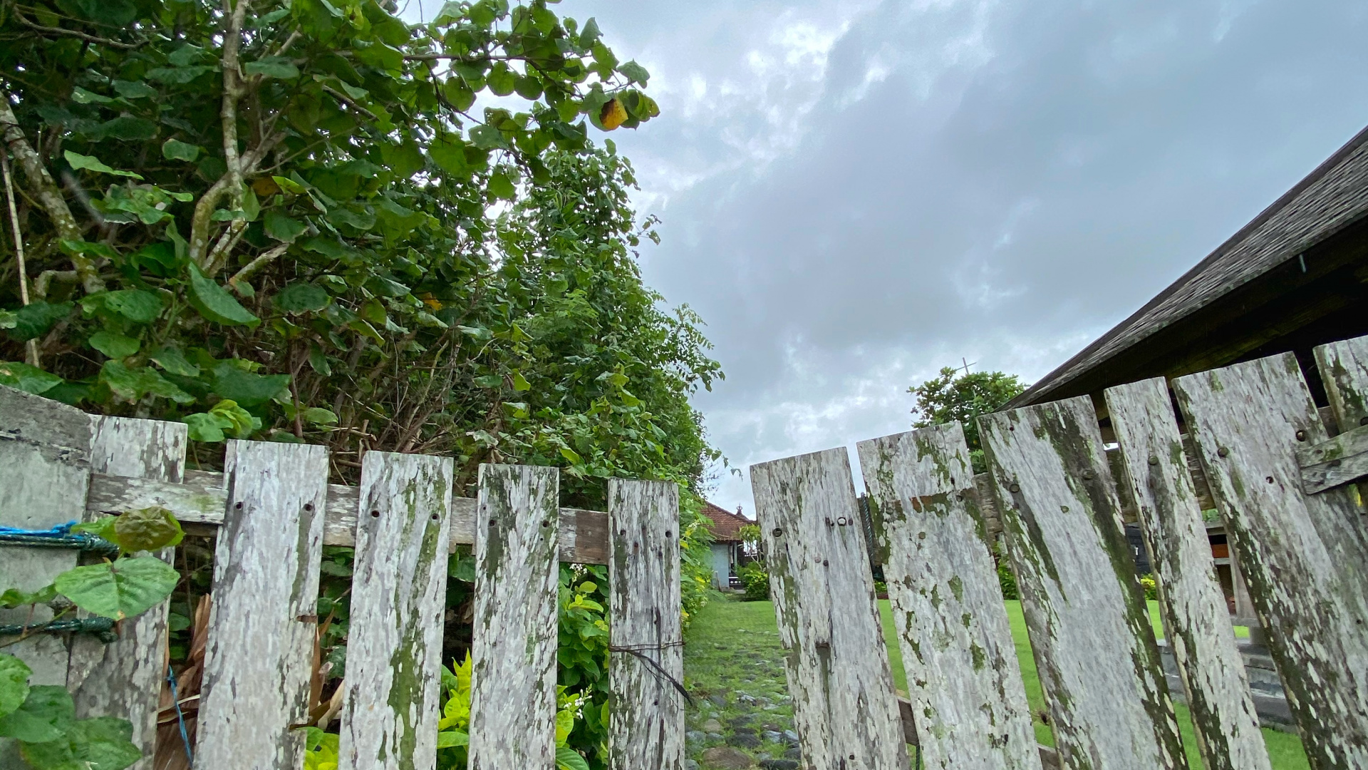 Обои стена, сельский район, почвопокровная, плантация, номера сосудистых растений в разрешении 1920x1080