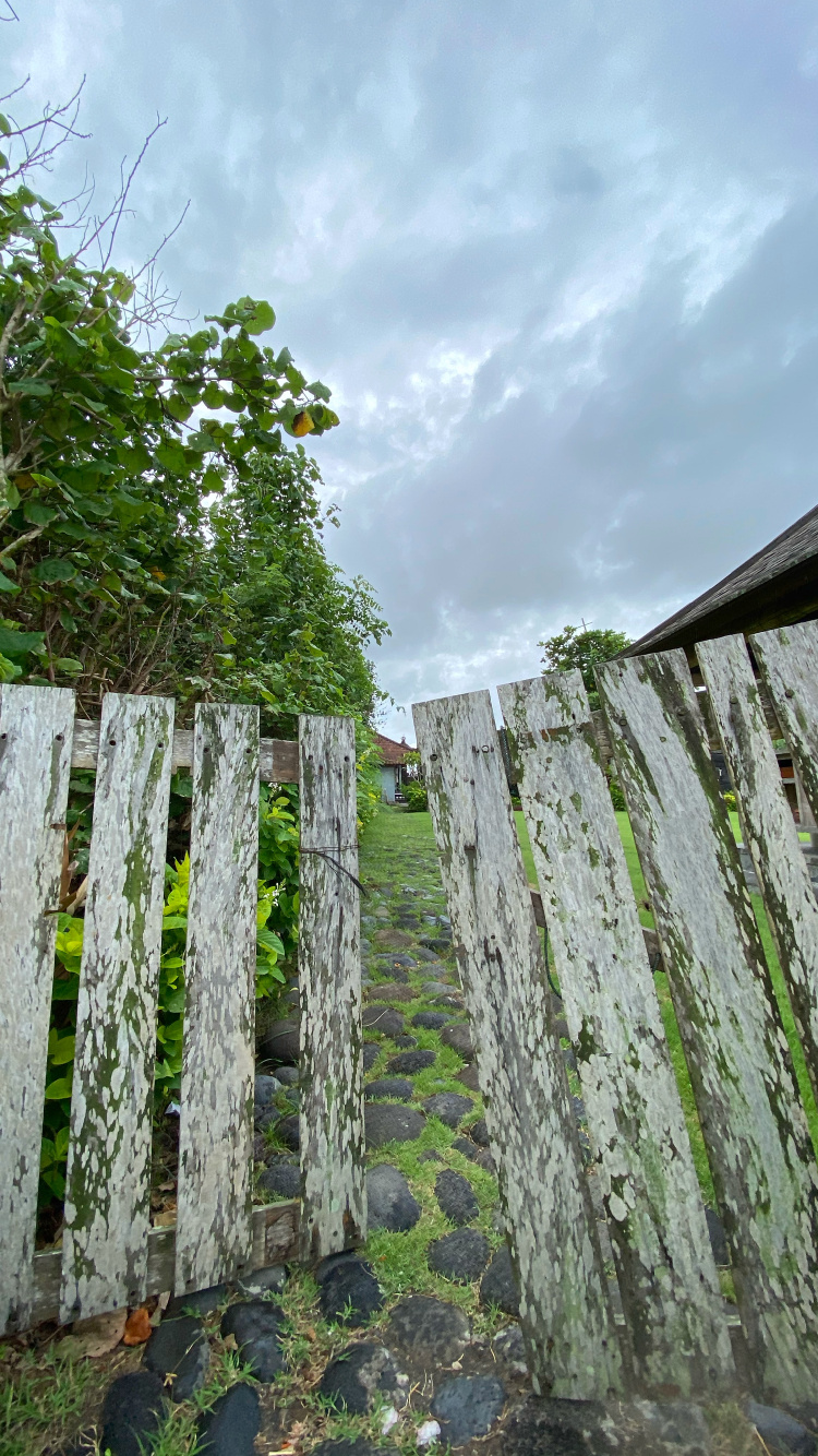 Обои стена, сельский район, почвопокровная, плантация, номера сосудистых растений в разрешении 750x1334