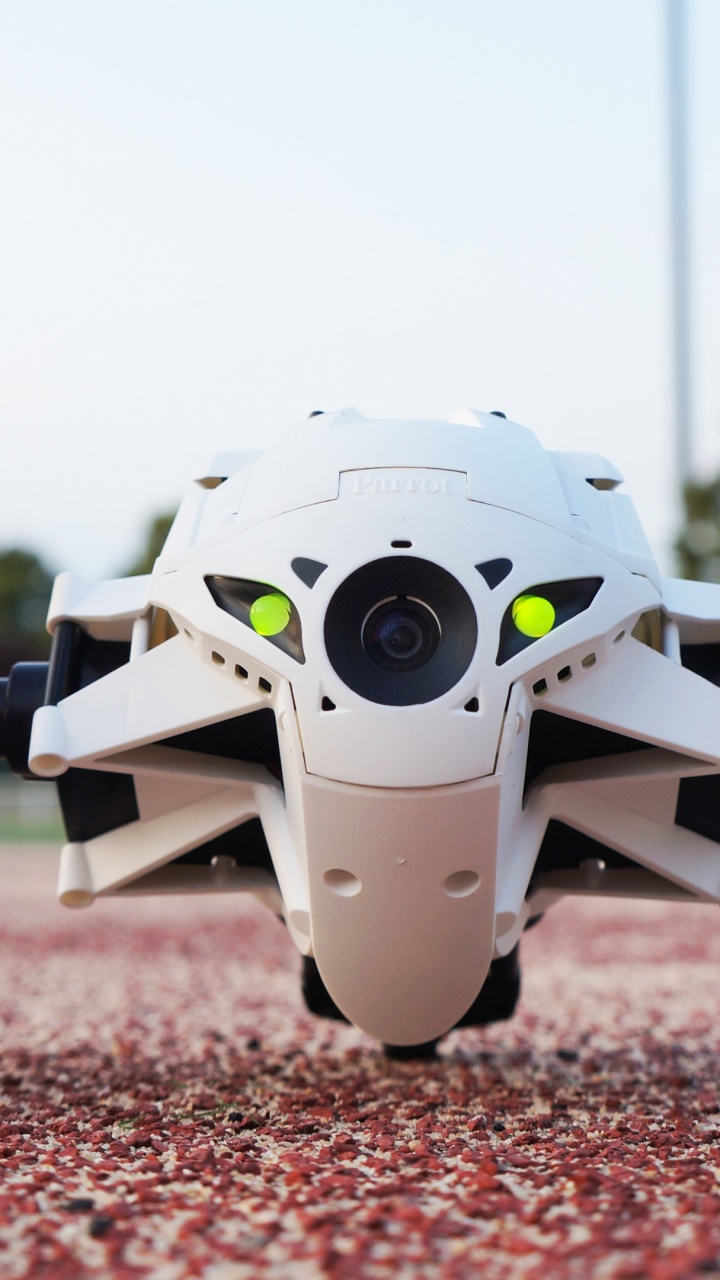 Обои гул, попугай минидрон прыжки, колесо, шина, автомобильные шины в разрешении 720x1280