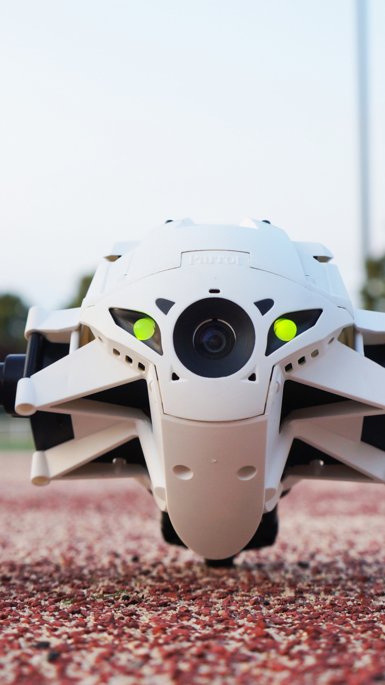 Обои гул, попугай минидрон прыжки, колесо, шина, автомобильные шины в разрешении 750x1334