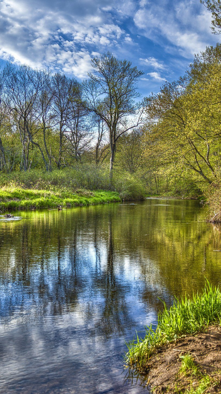 Обои отражение, реки, природный заповедник, природа, вода в разрешении 750x1334