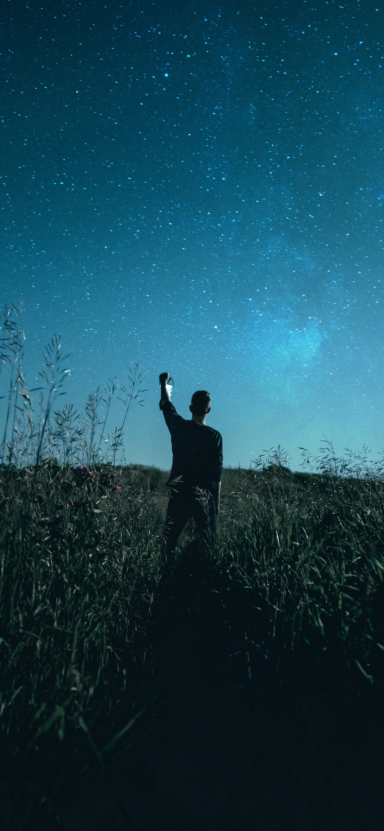 Обои Люди в природе, синий, темнота, ночь, дерево в разрешении 1242x2688